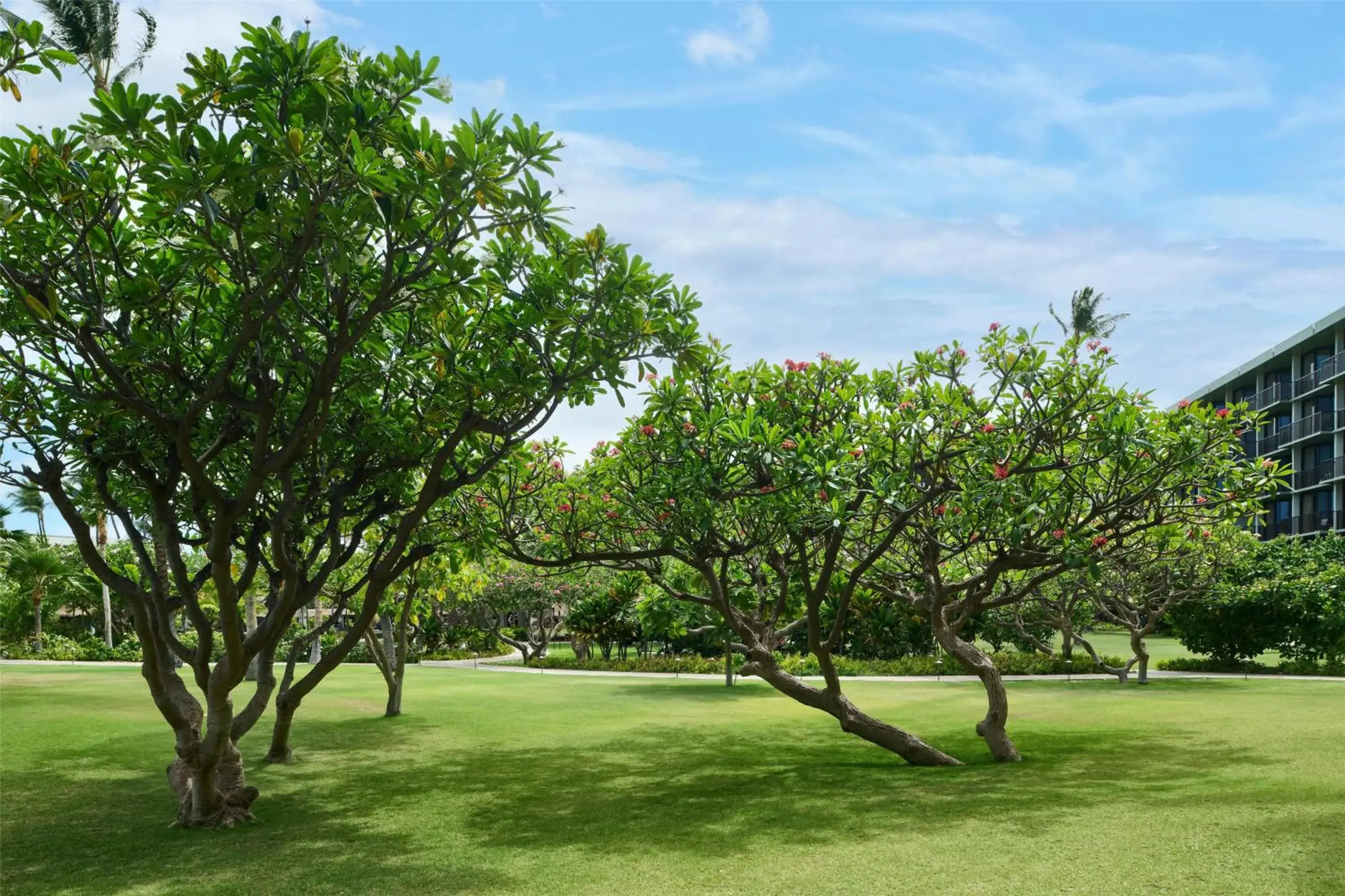 View (from property/room) in OUTRIGGER Kāʻanapali Beach Resort View (from property/room) in OUTRIGGER Kāʻanapali Beach Resort