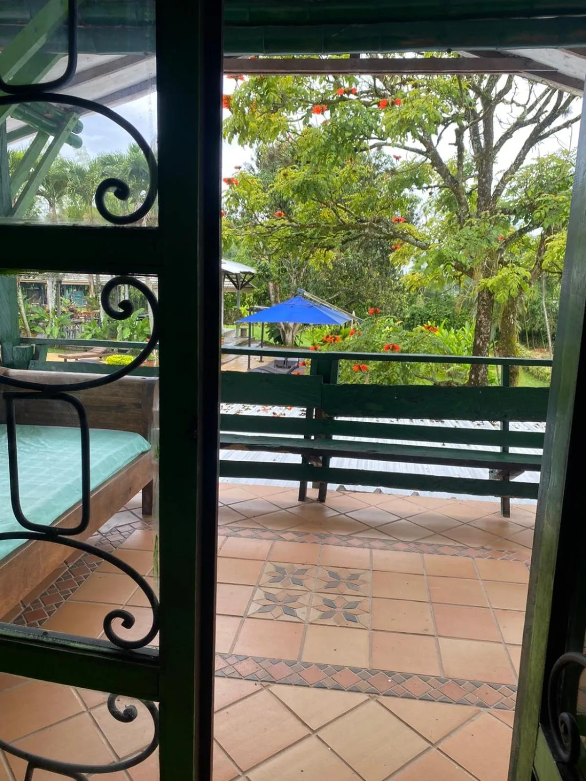 Garden view in Villa Juana Hotel