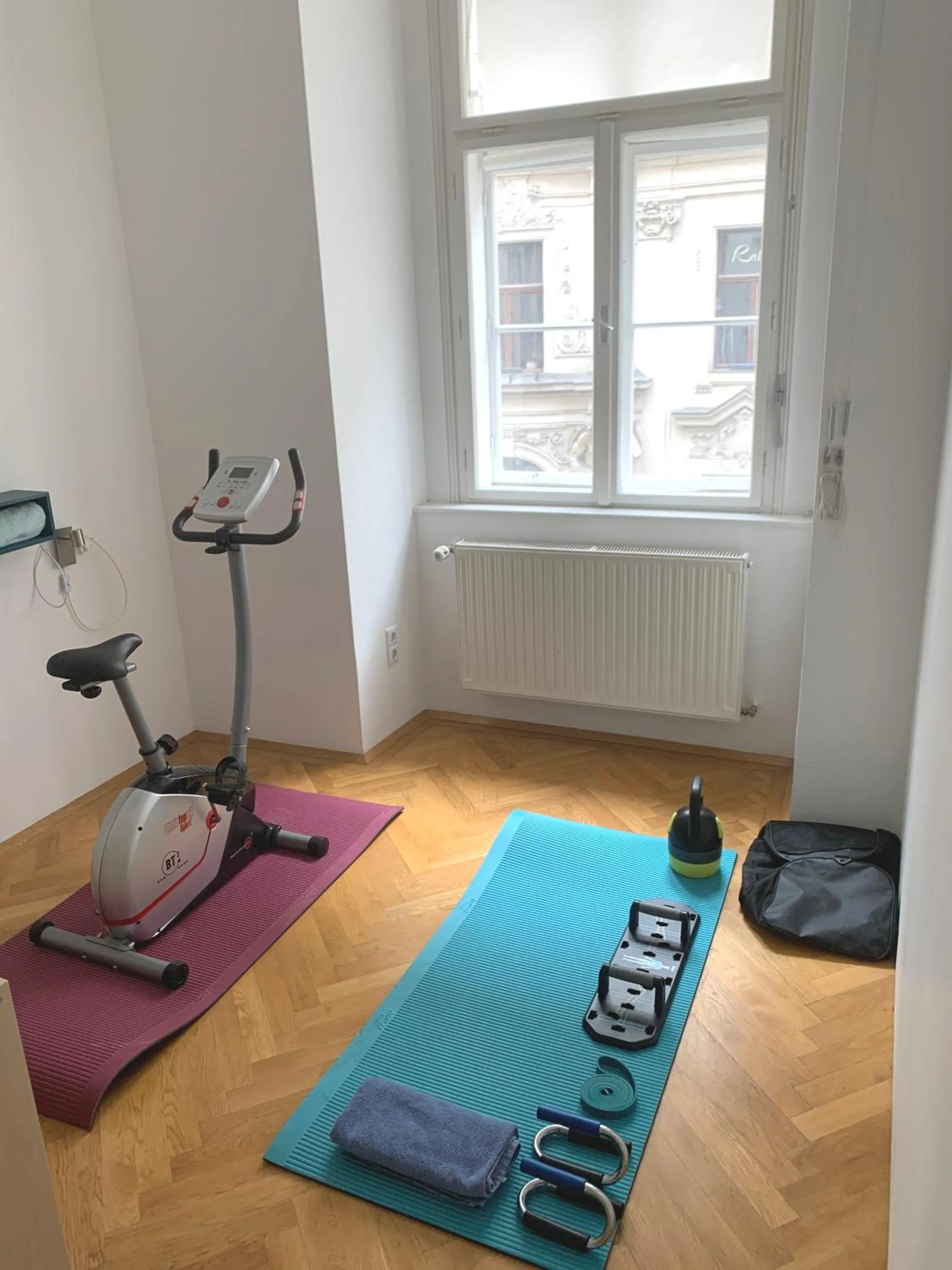 Fitness centre/facilities in Sobieski Stefansdom Apartments