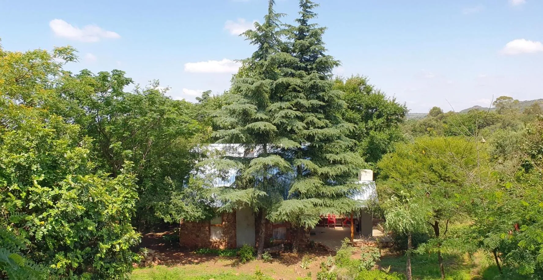 Garden view in Little Forest Farm