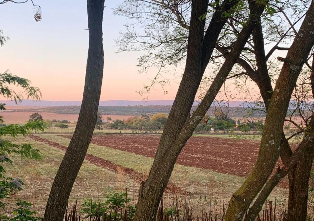 Landmark view in Little Forest Farm