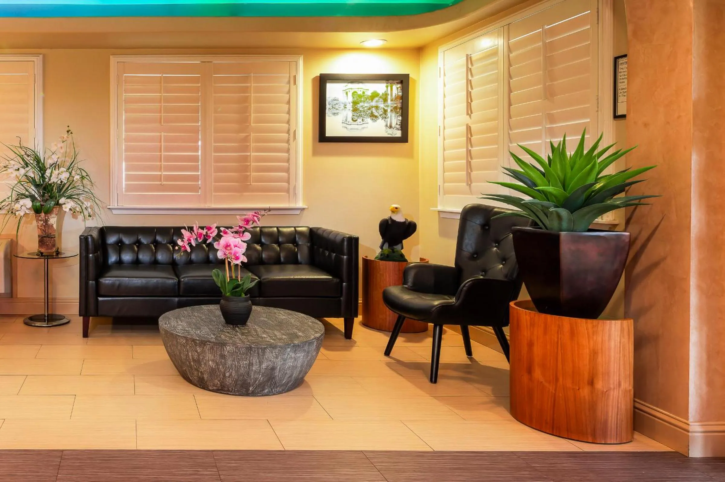 Lobby or reception in Hotel Mira Vista