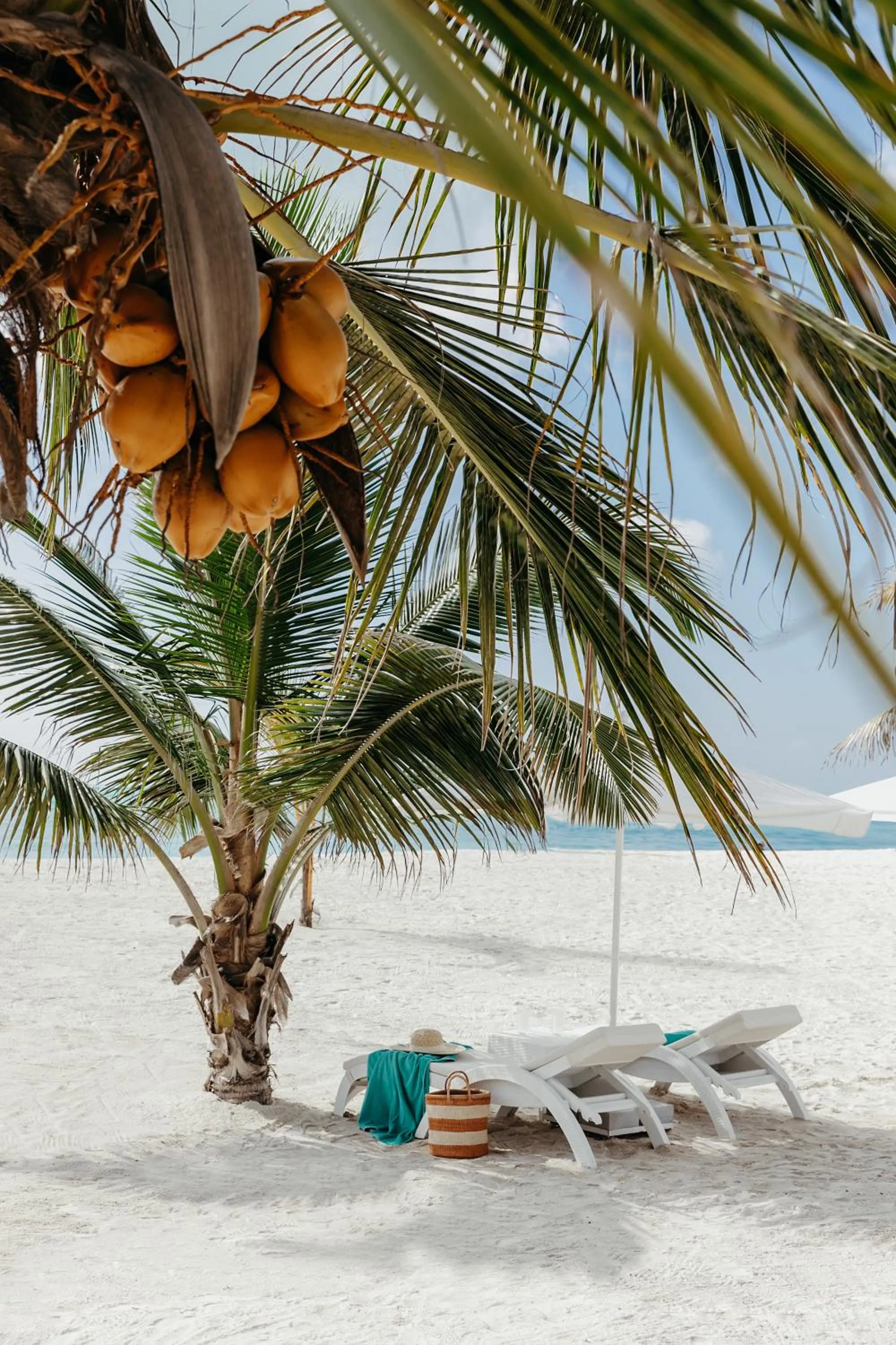 Natural landscape in LUX* Marijani Zanzibar