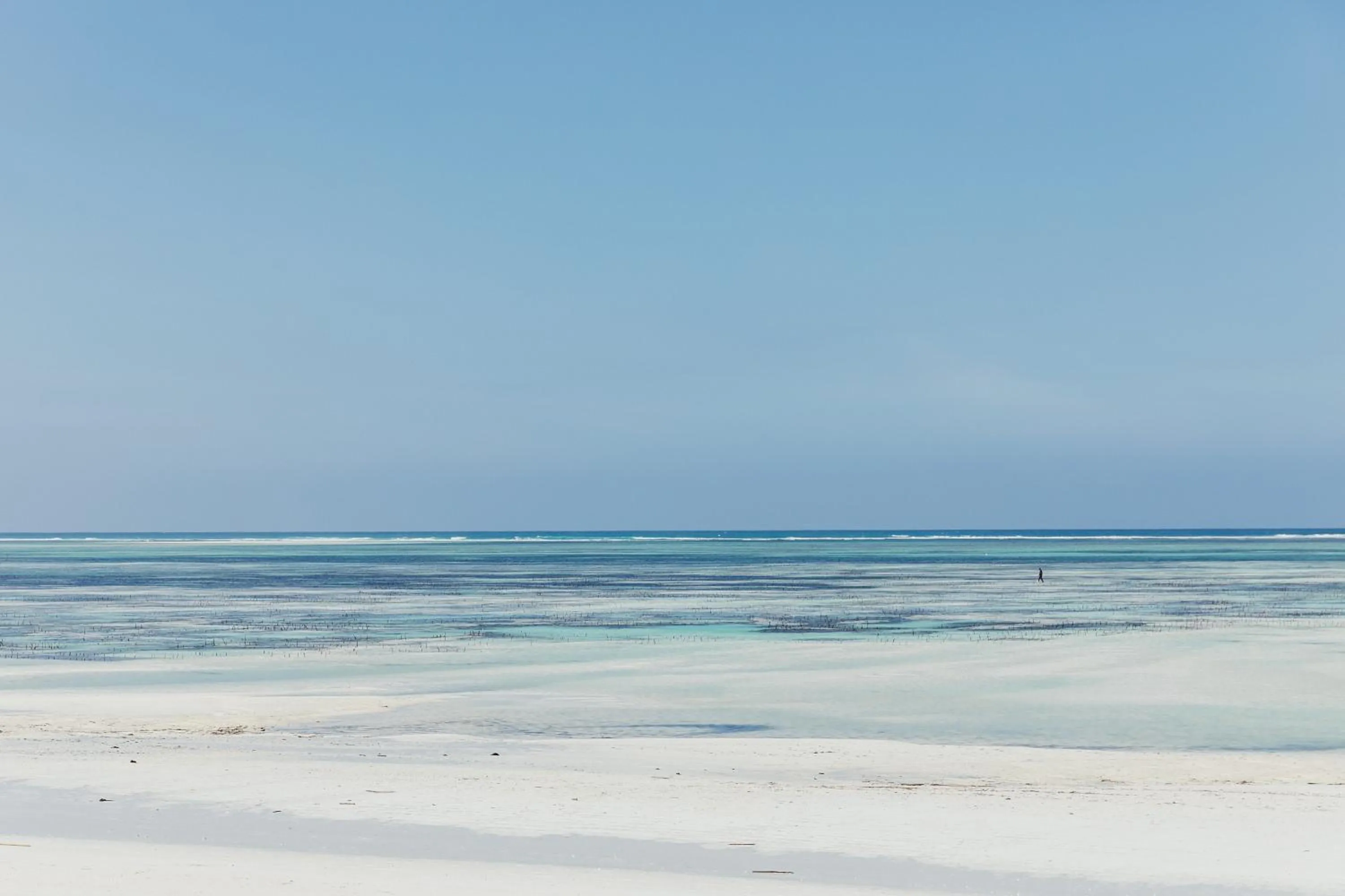 Natural landscape in LUX* Marijani Zanzibar