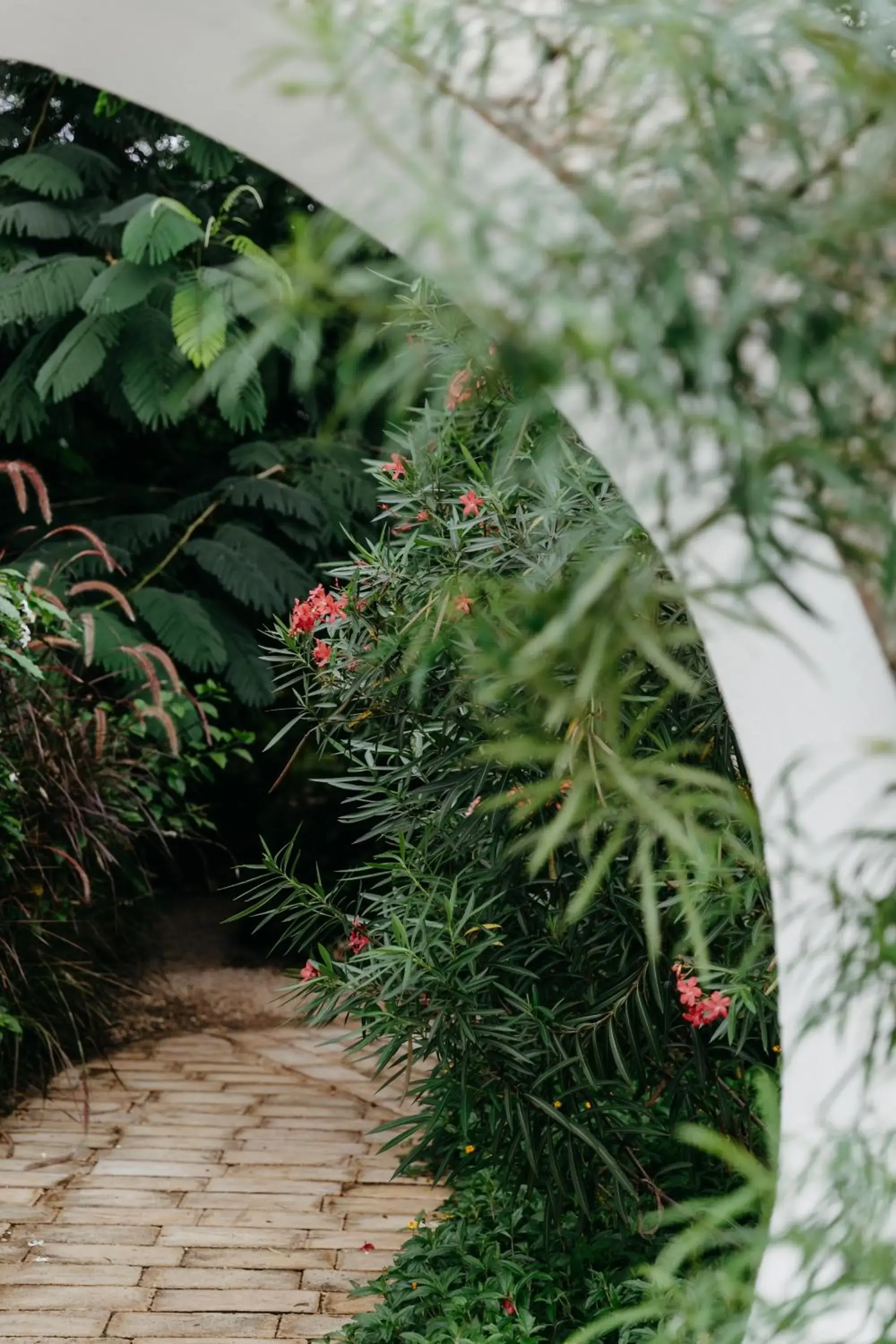 Garden view in LUX* Marijani Zanzibar Garden view in LUX* Marijani Zanzibar