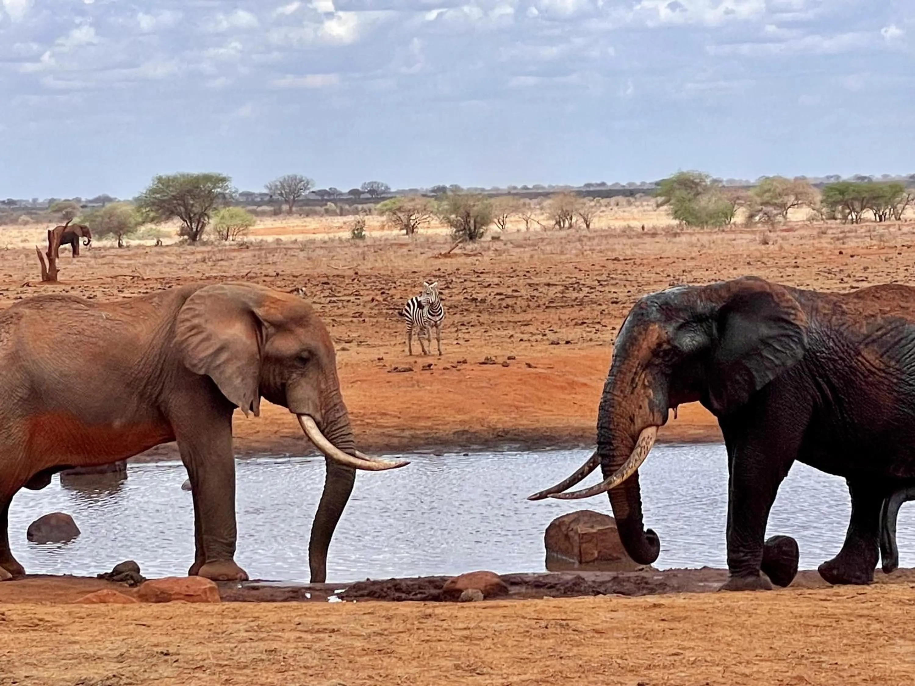 Activities in Eleven Pearl Boutique Hotel & Spa