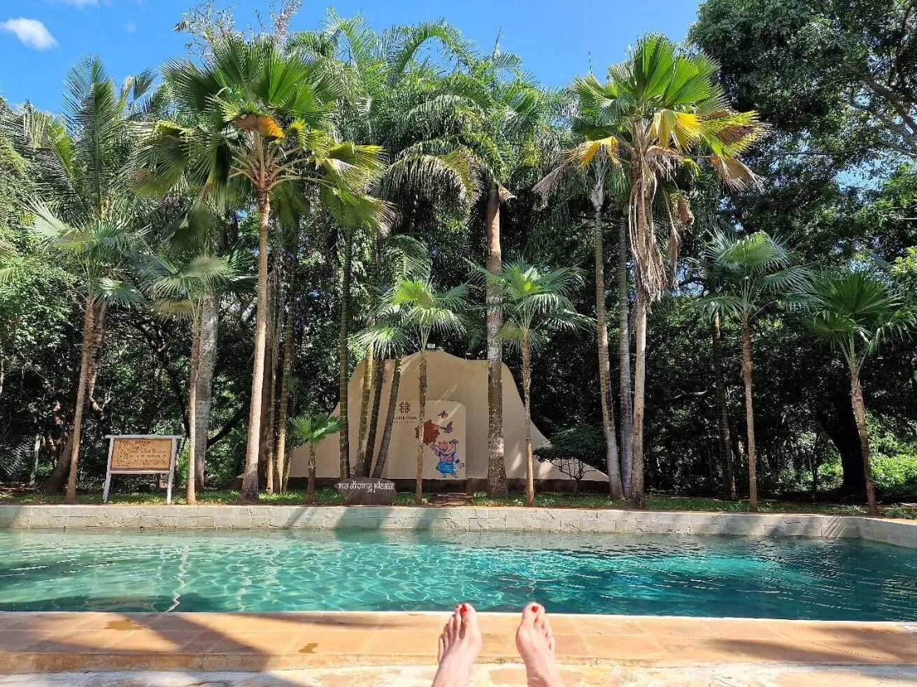 Pool view in Eleven Pearl Boutique Hotel & Spa