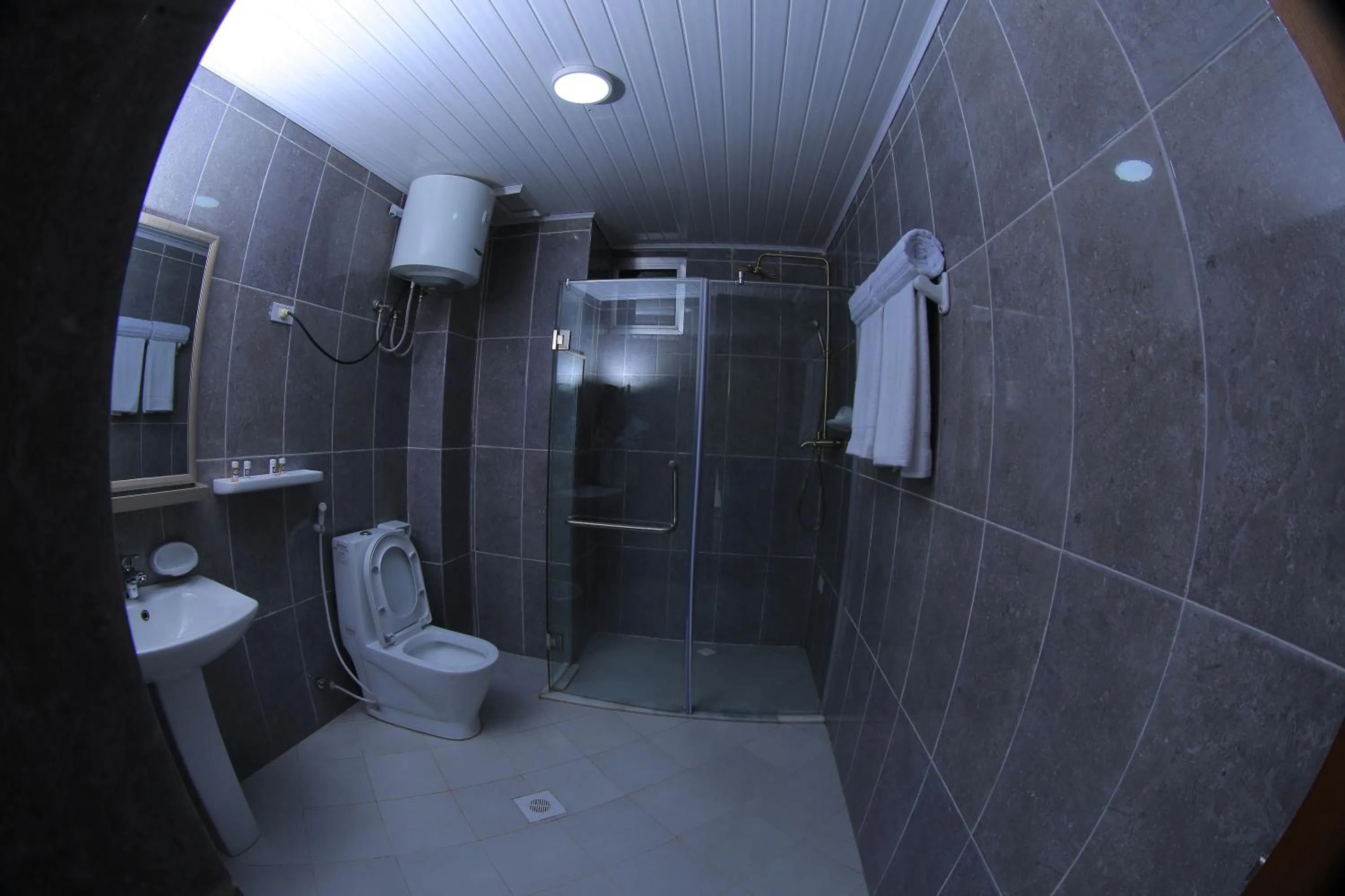 Toilet in Daisy Hotel