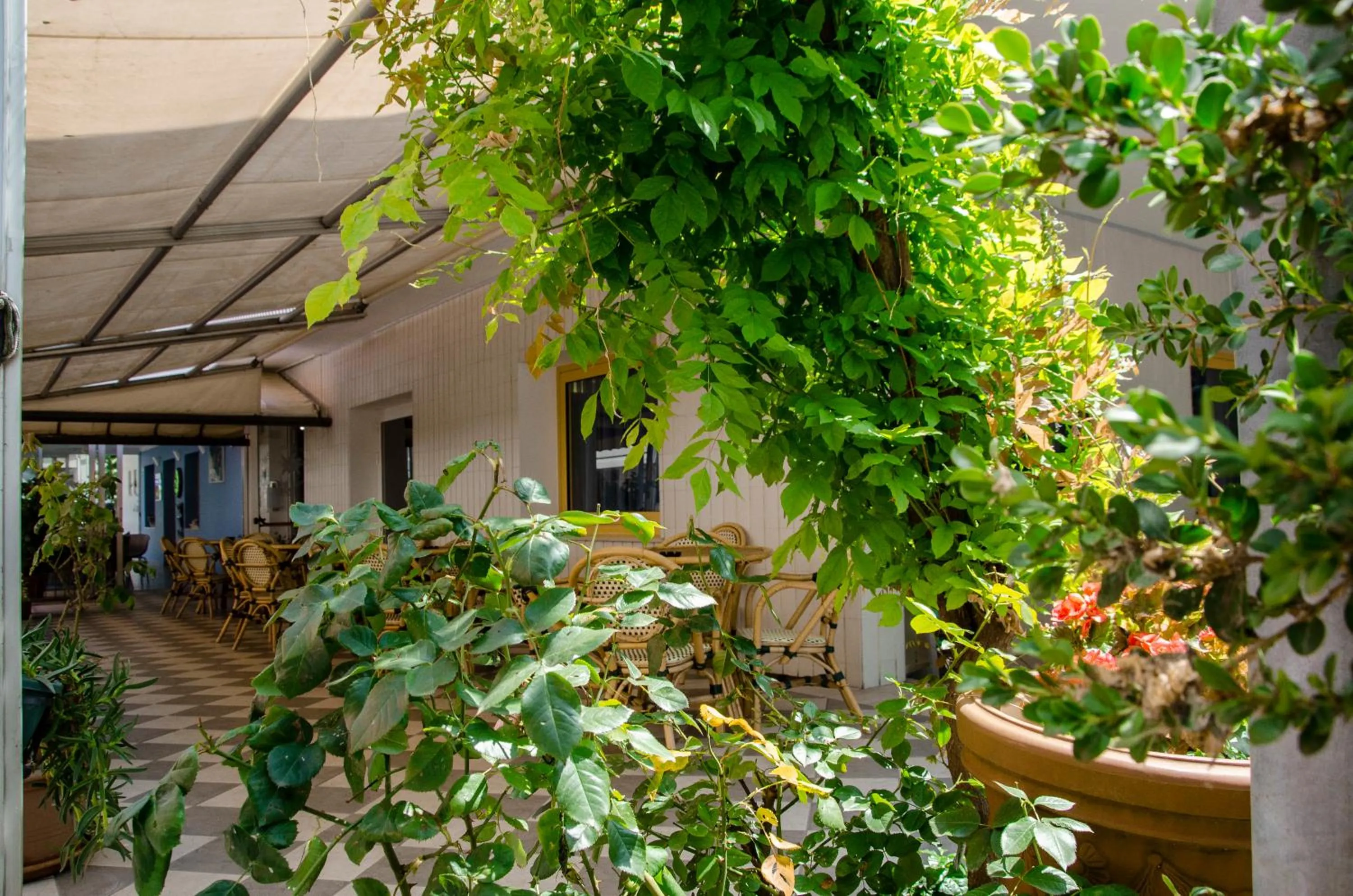 Facade/entrance in Hotel Stella Alpina