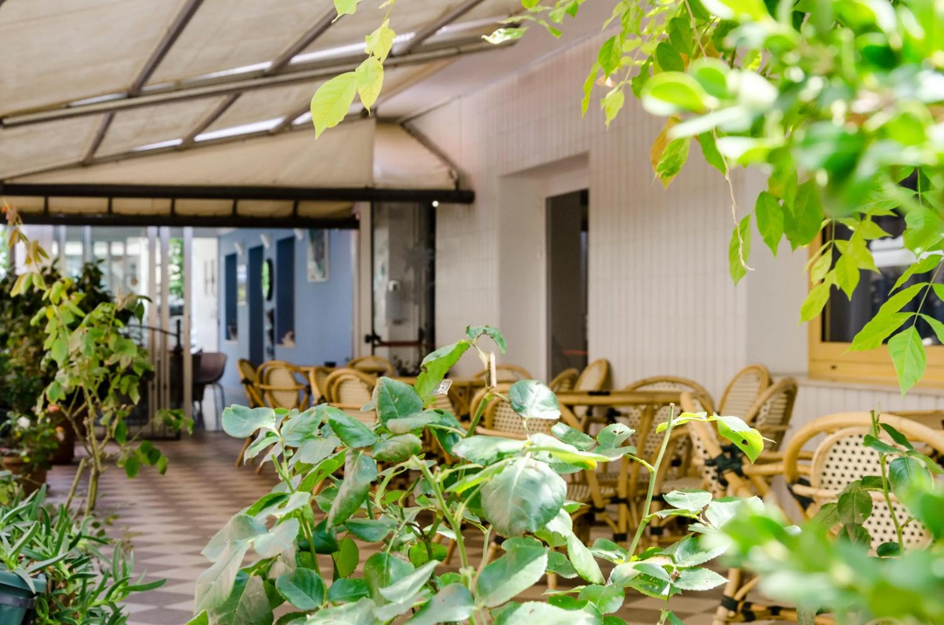 Garden in Hotel Stella Alpina