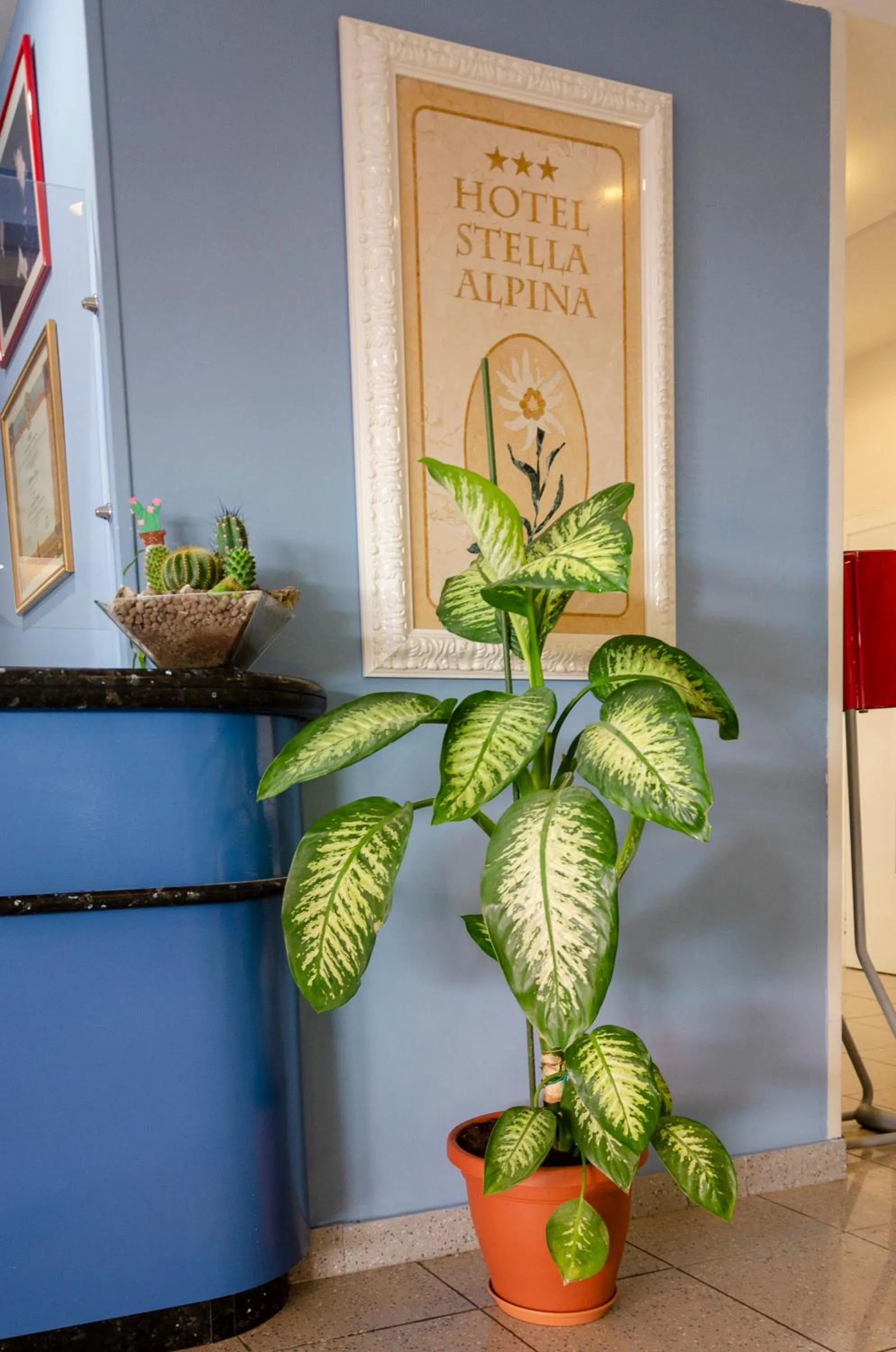 Lobby or reception in Hotel Stella Alpina