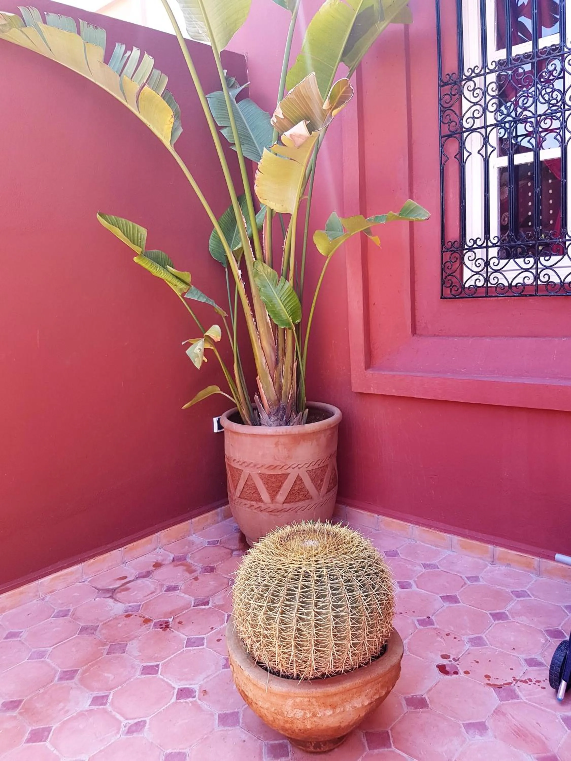 Riad Al Jawhar