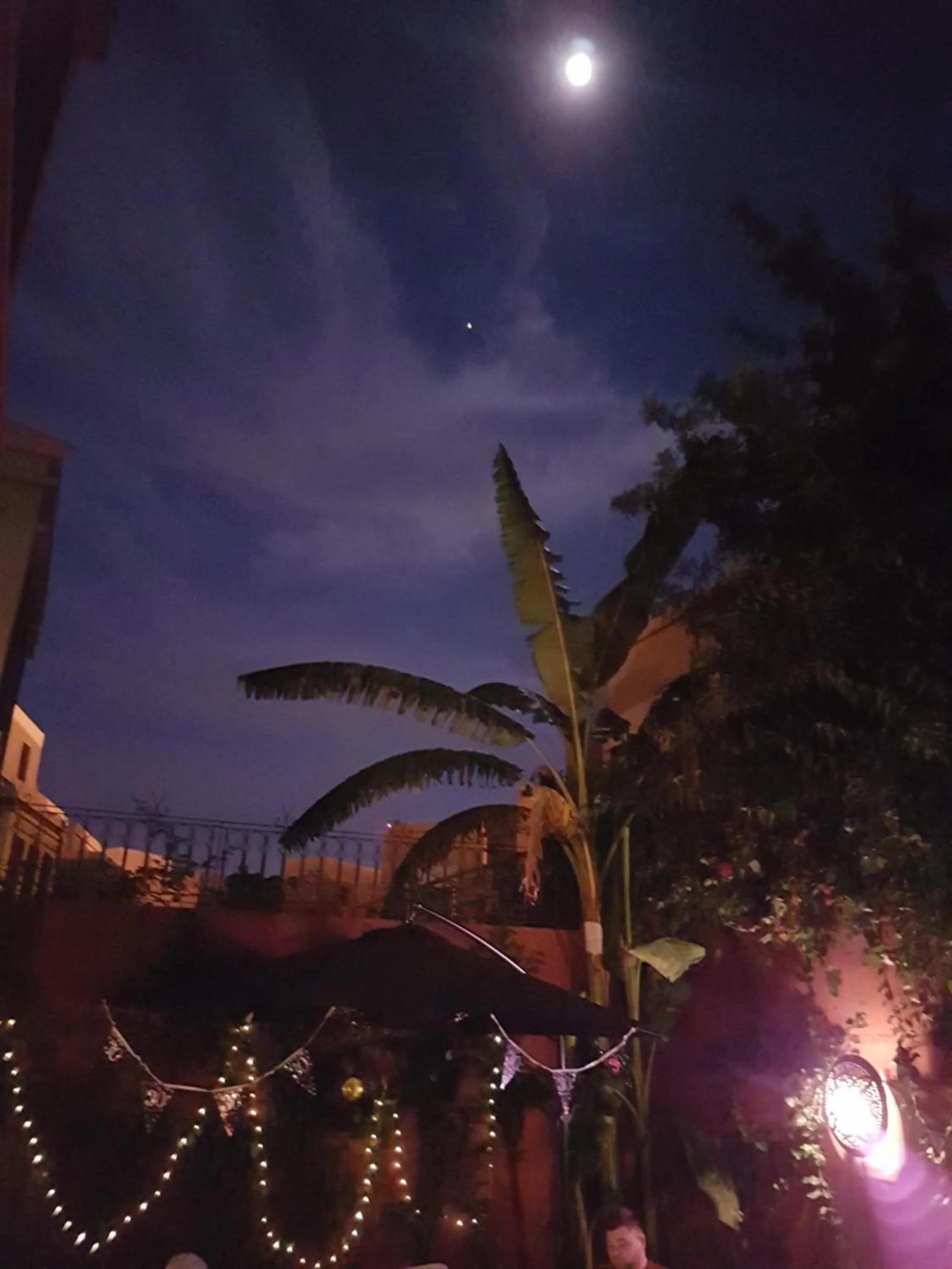 Riad Al Jawhar