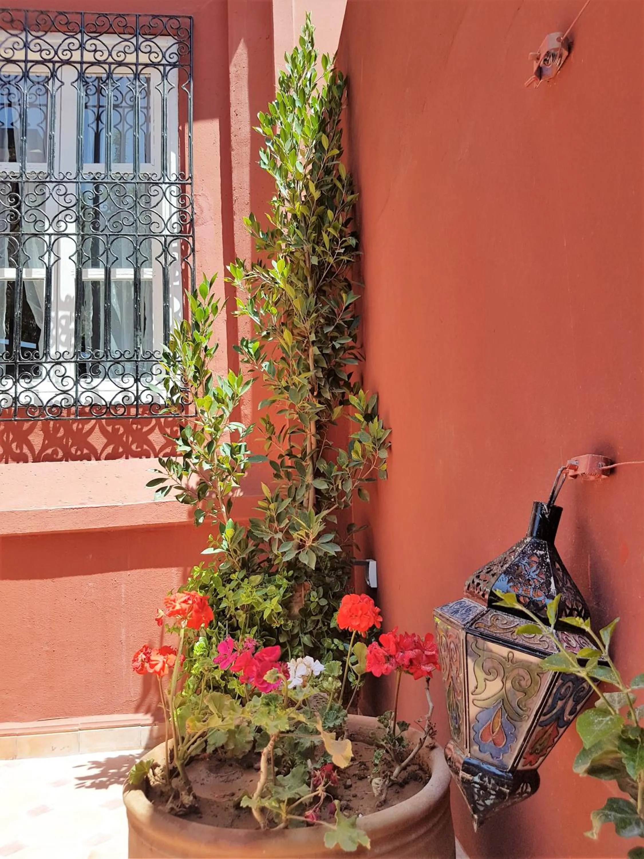 Riad Al Jawhar