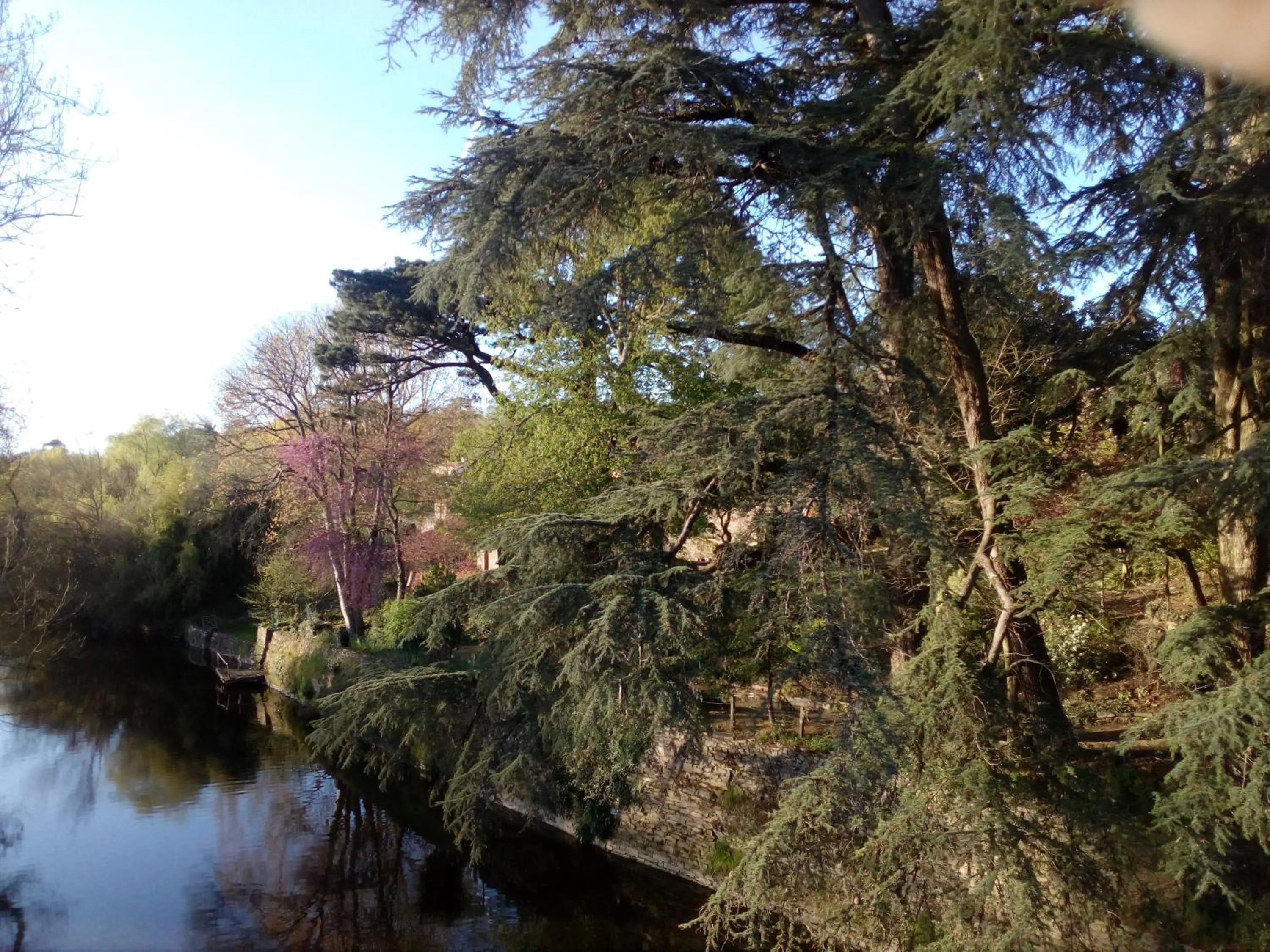Garden in Les Cèdres
