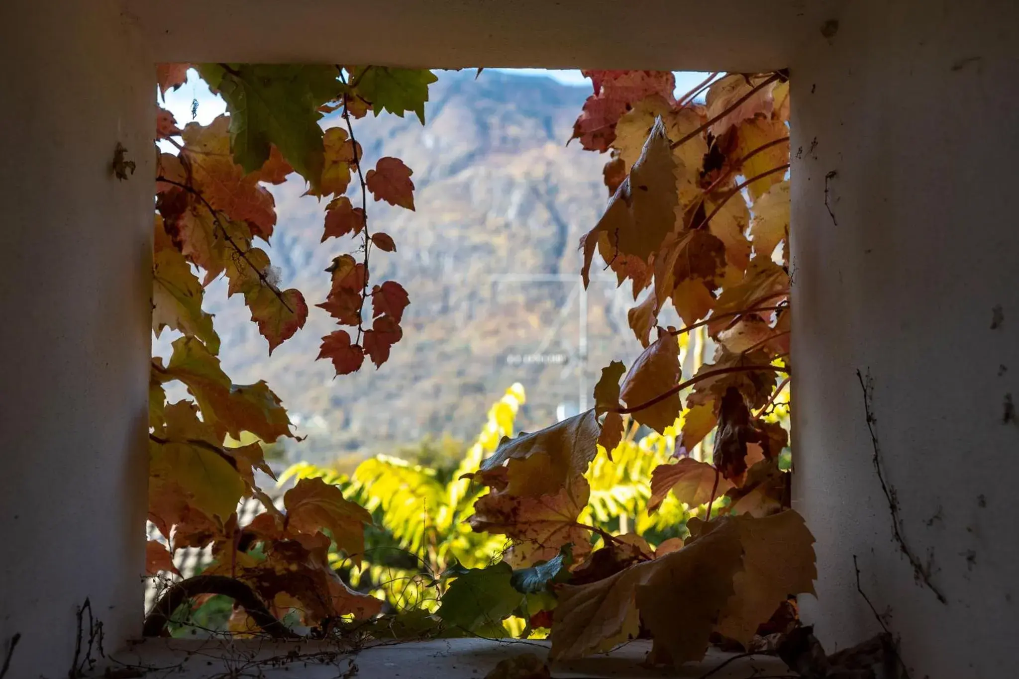 Double or Twin Room with Private Bathroom in Casa Tomà Double or Twin Room with Private Bathroom in Casa Tomà