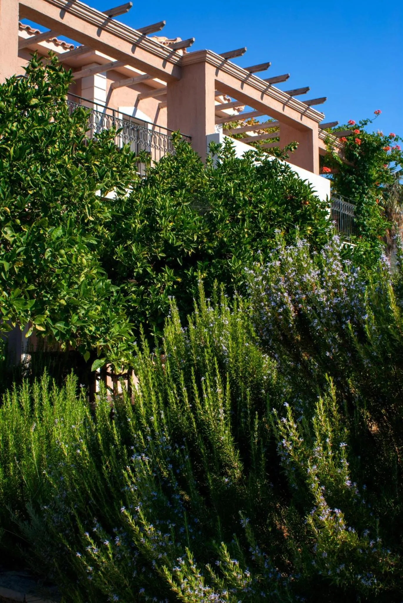 Property building in Efrosini Village