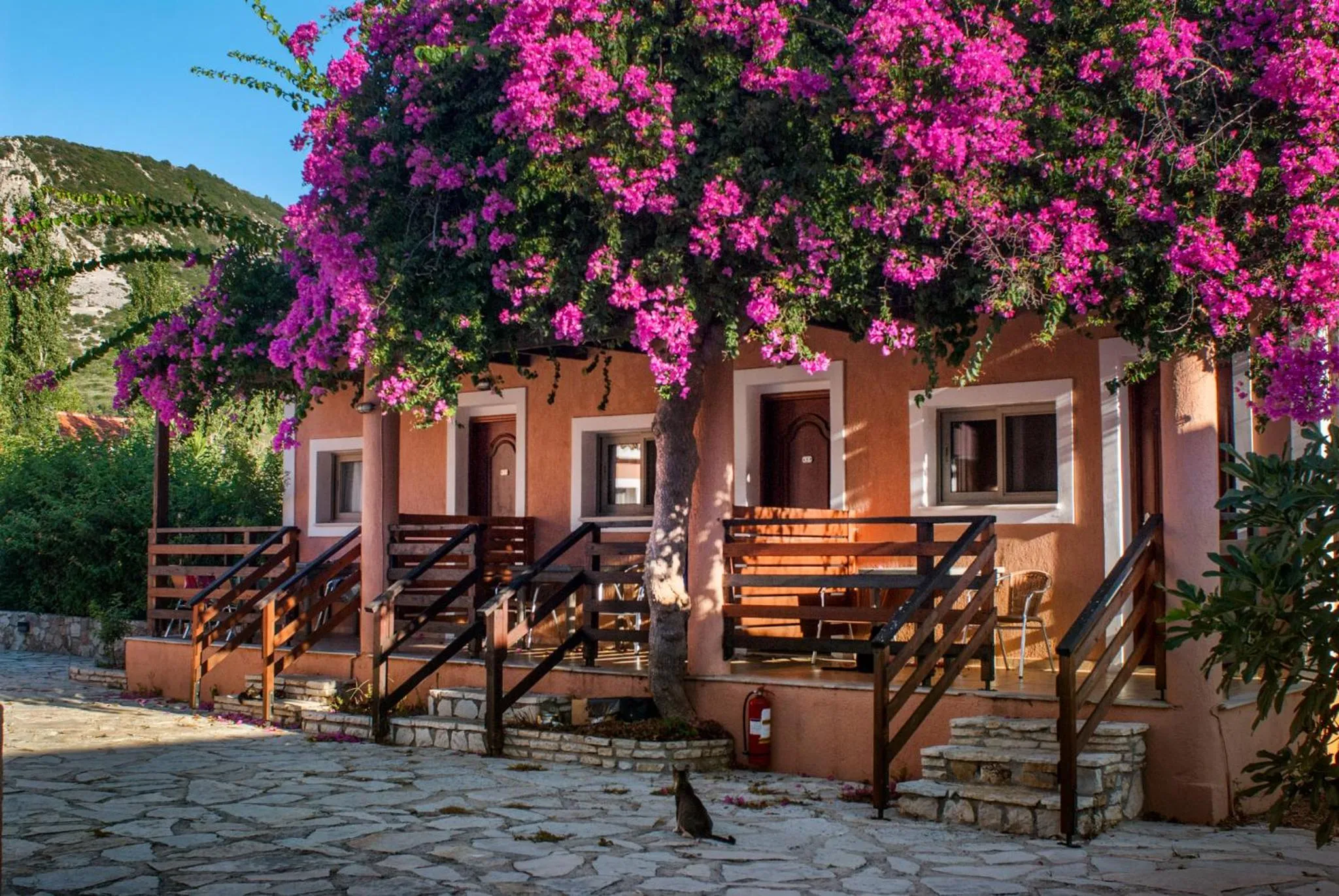 Property building in Efrosini Village