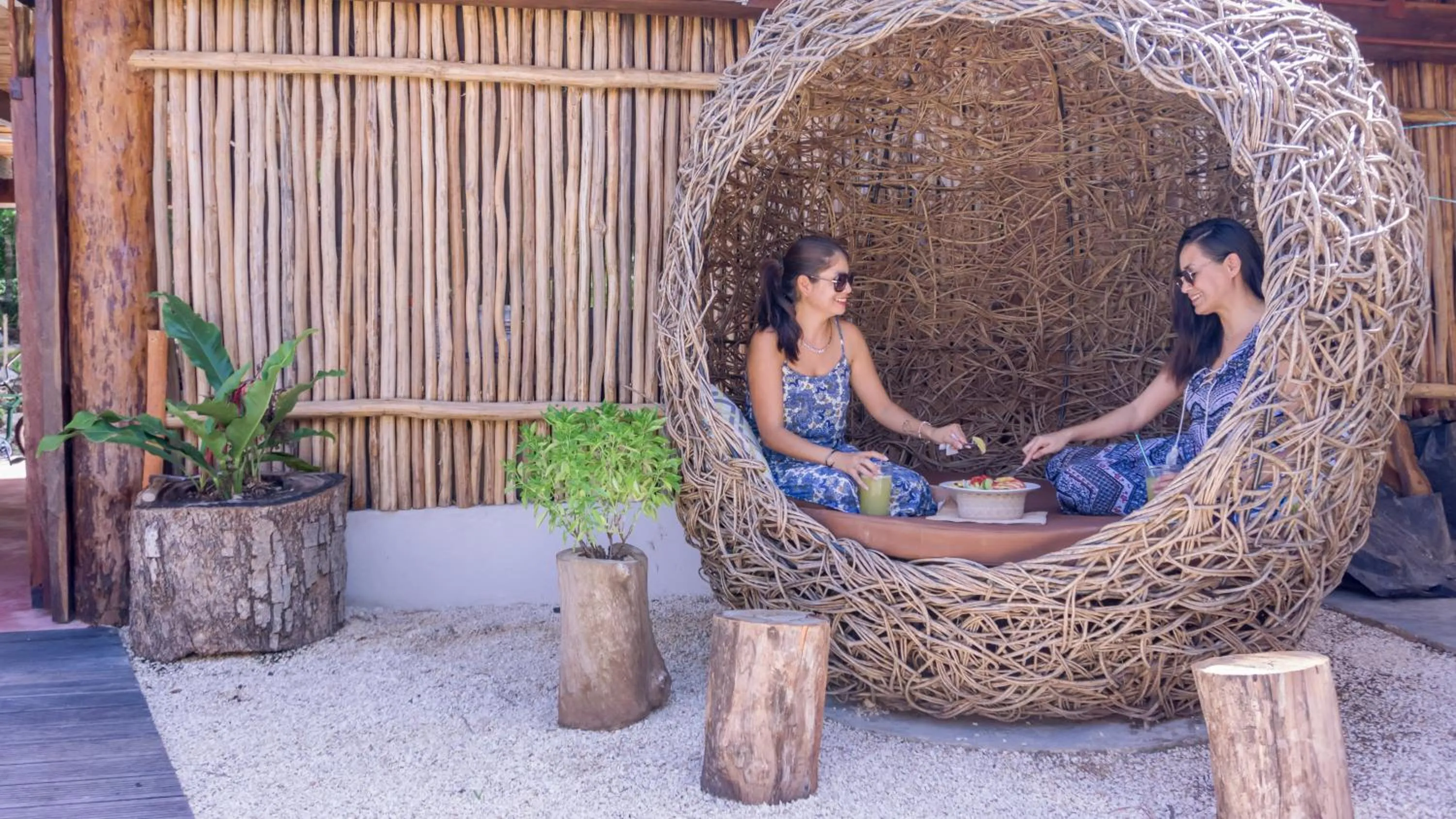 People in Jungla y Estrellas