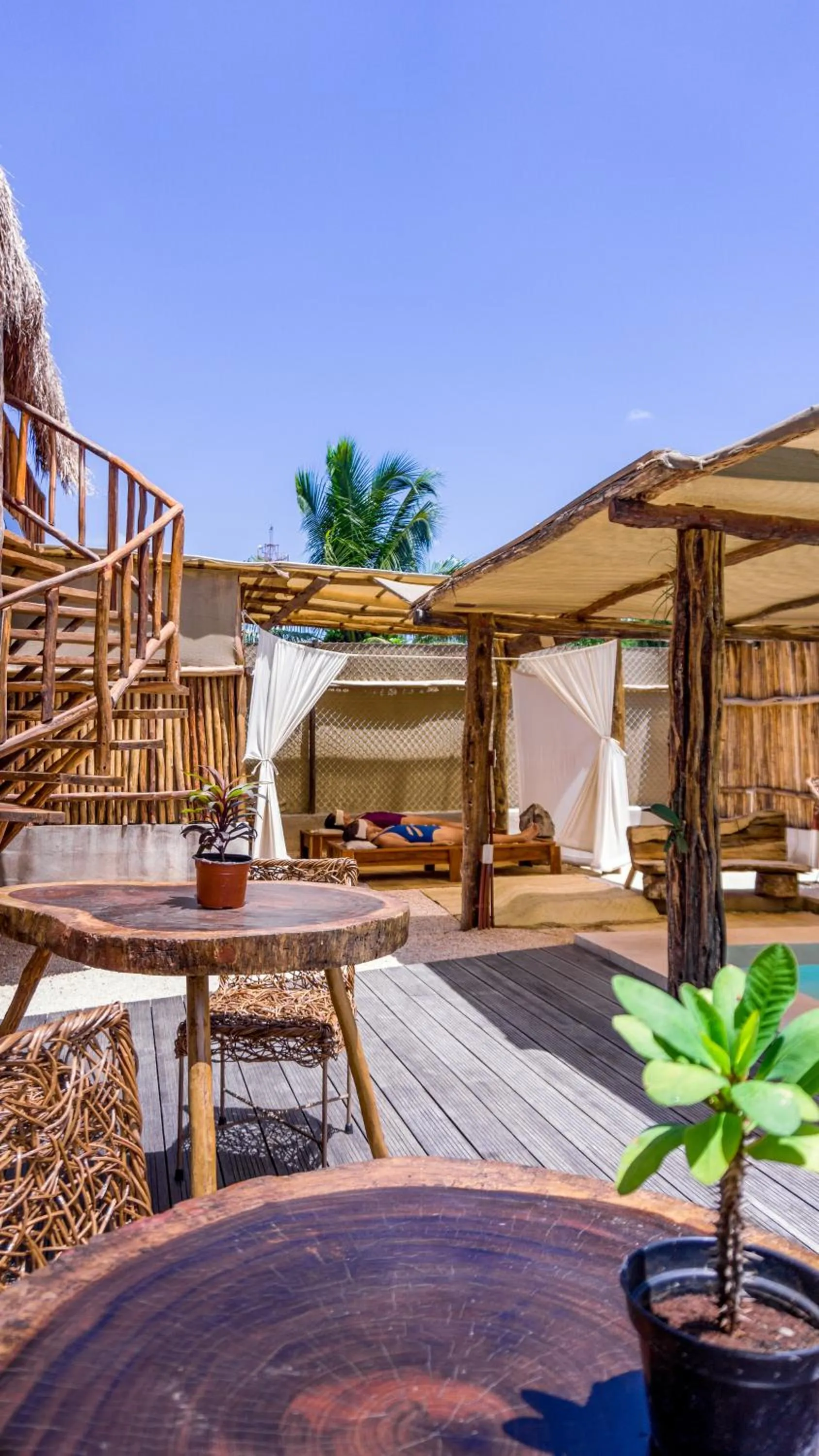 Patio in Jungla y Estrellas