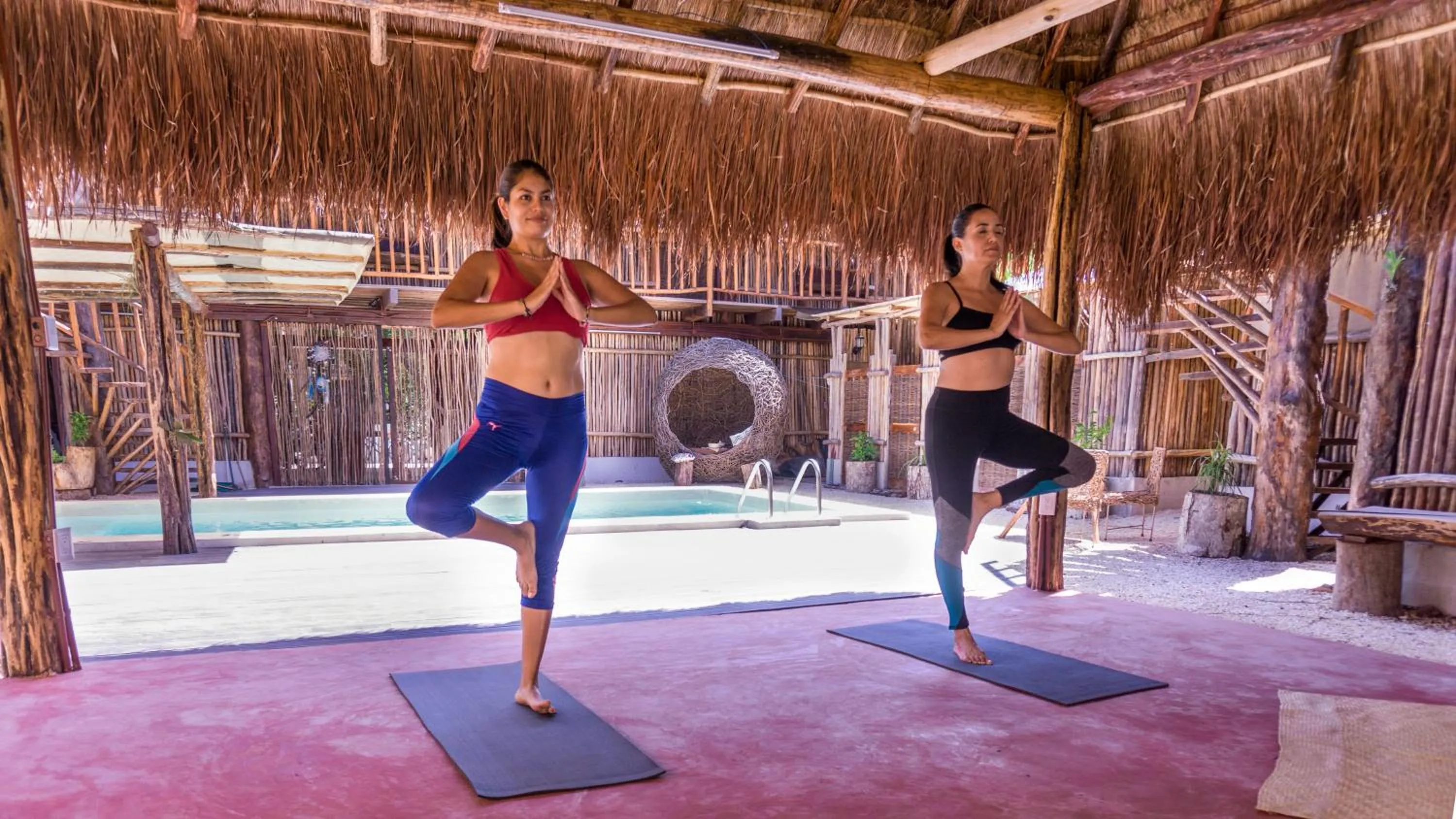 Activities in Jungla y Estrellas