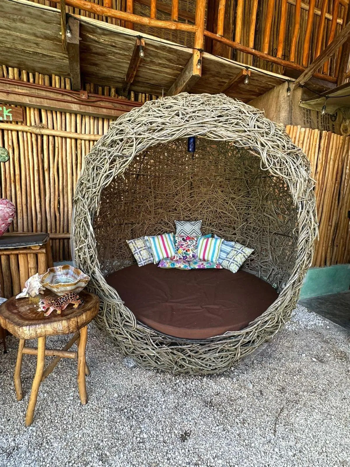 Seating area in Jungla y Estrellas