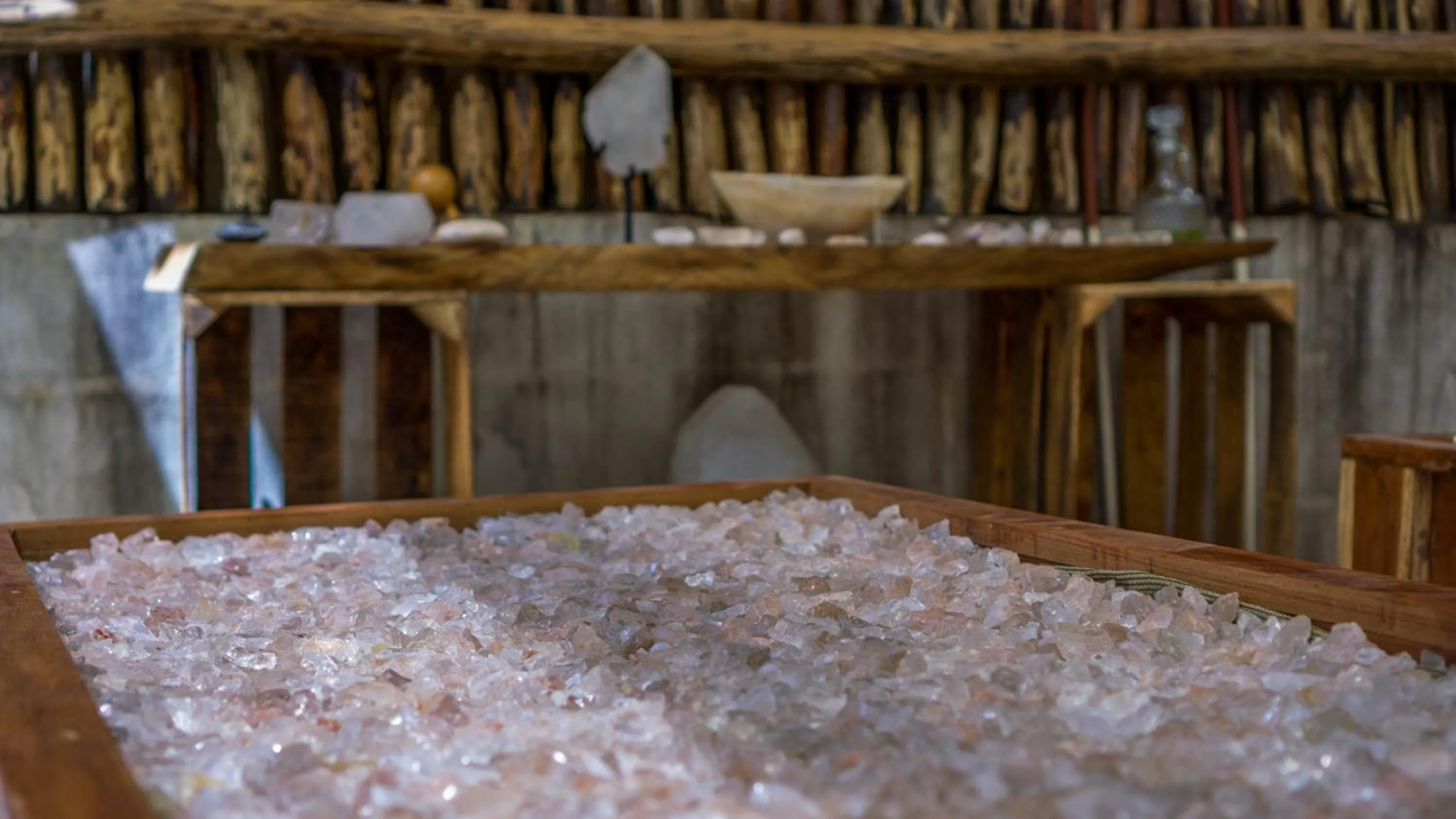 Lobby or reception in Jungla y Estrellas