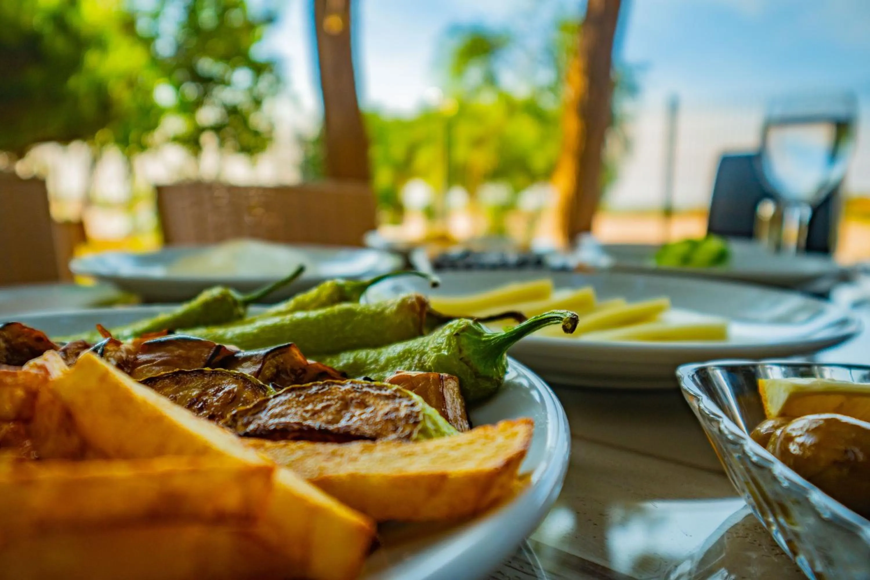 Day in Prenses Sealine Beach Hotel