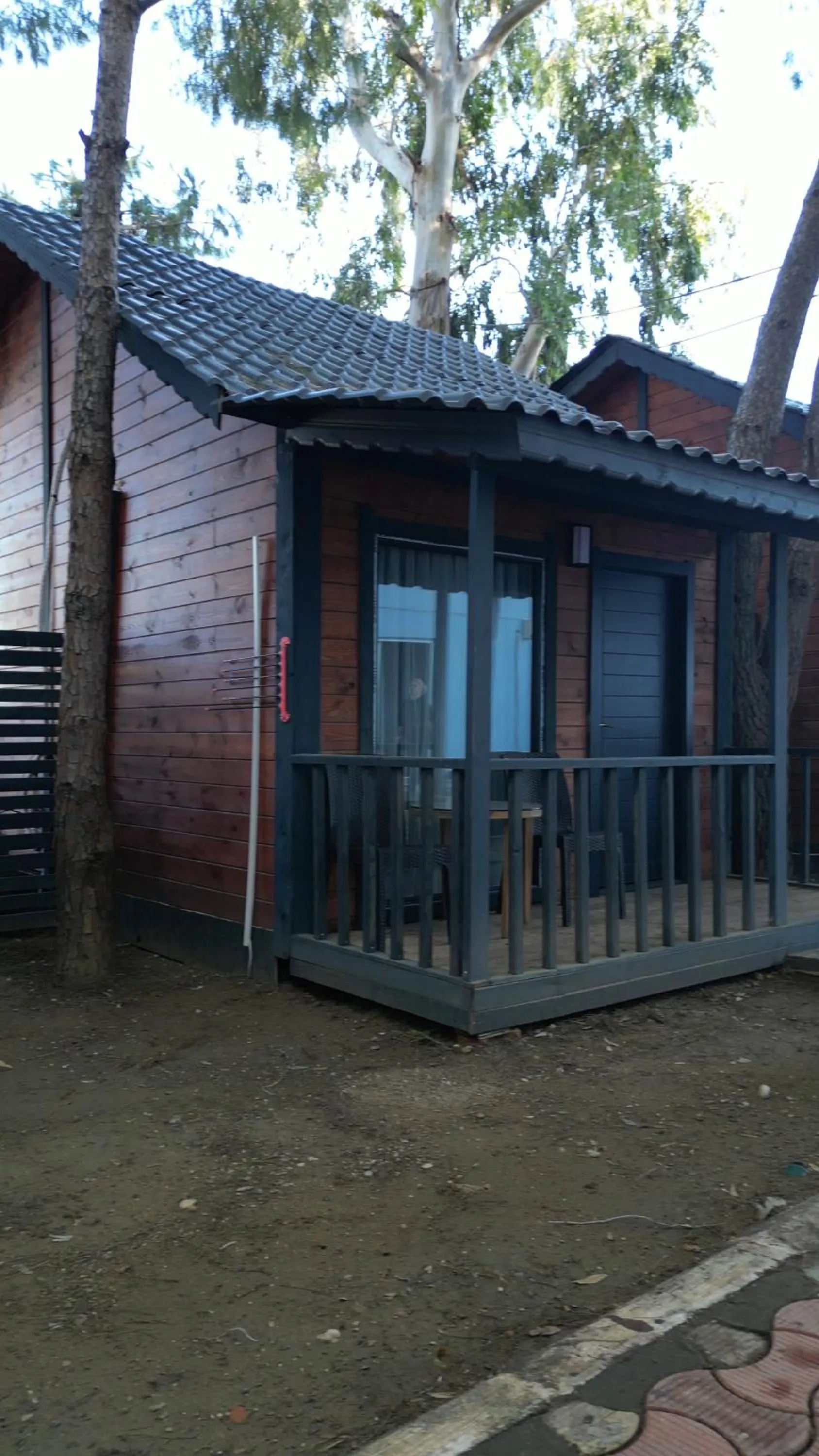 Photo of the whole room in Prenses Sealine Beach Hotel