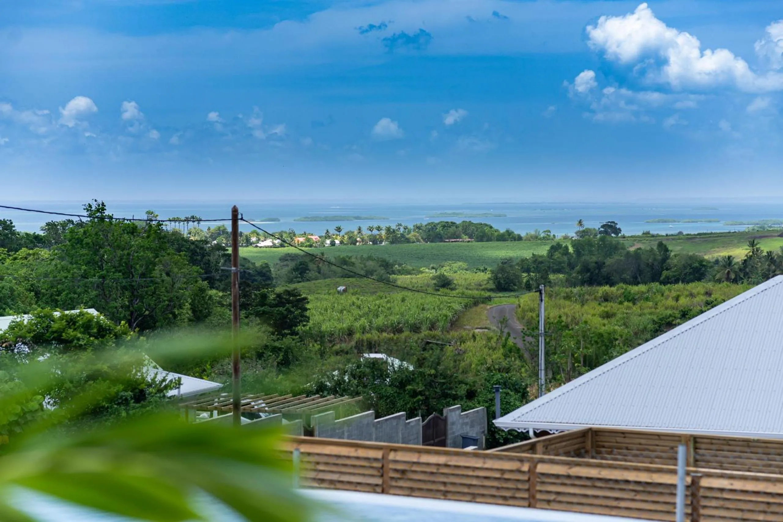 Les maisons Cane