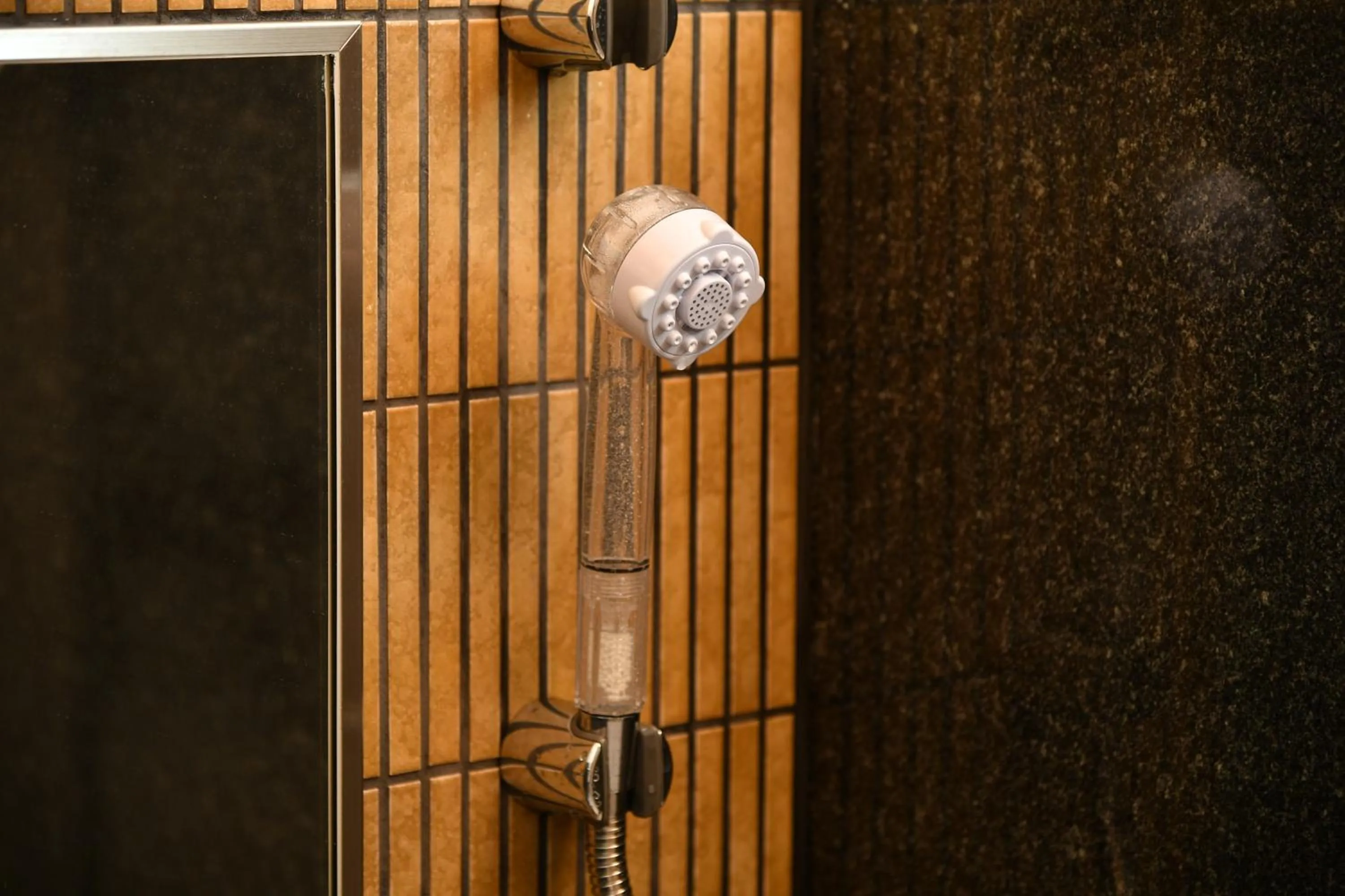 Sauna in The Centurion Hotel & Spa Classic Izumo