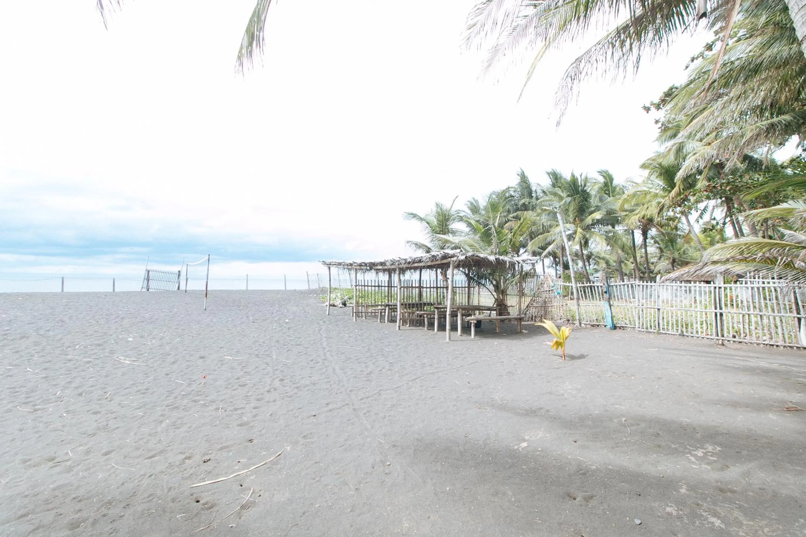 Beach in RedDoorz at Royal Grande Beach Resort Batangas