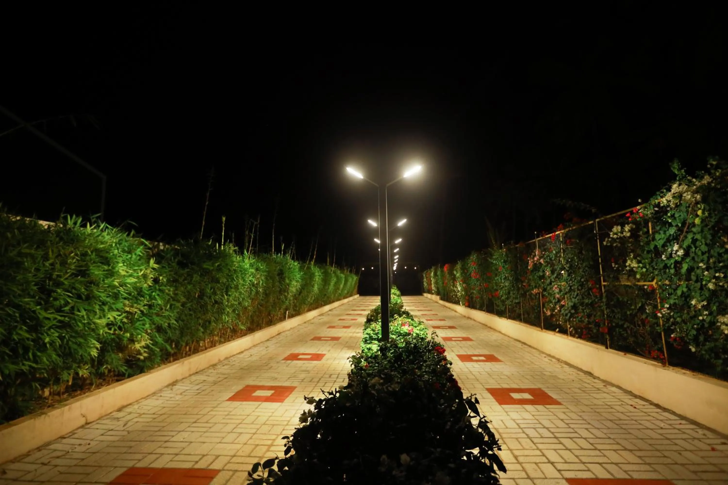 Night in Royal Destiny Resort