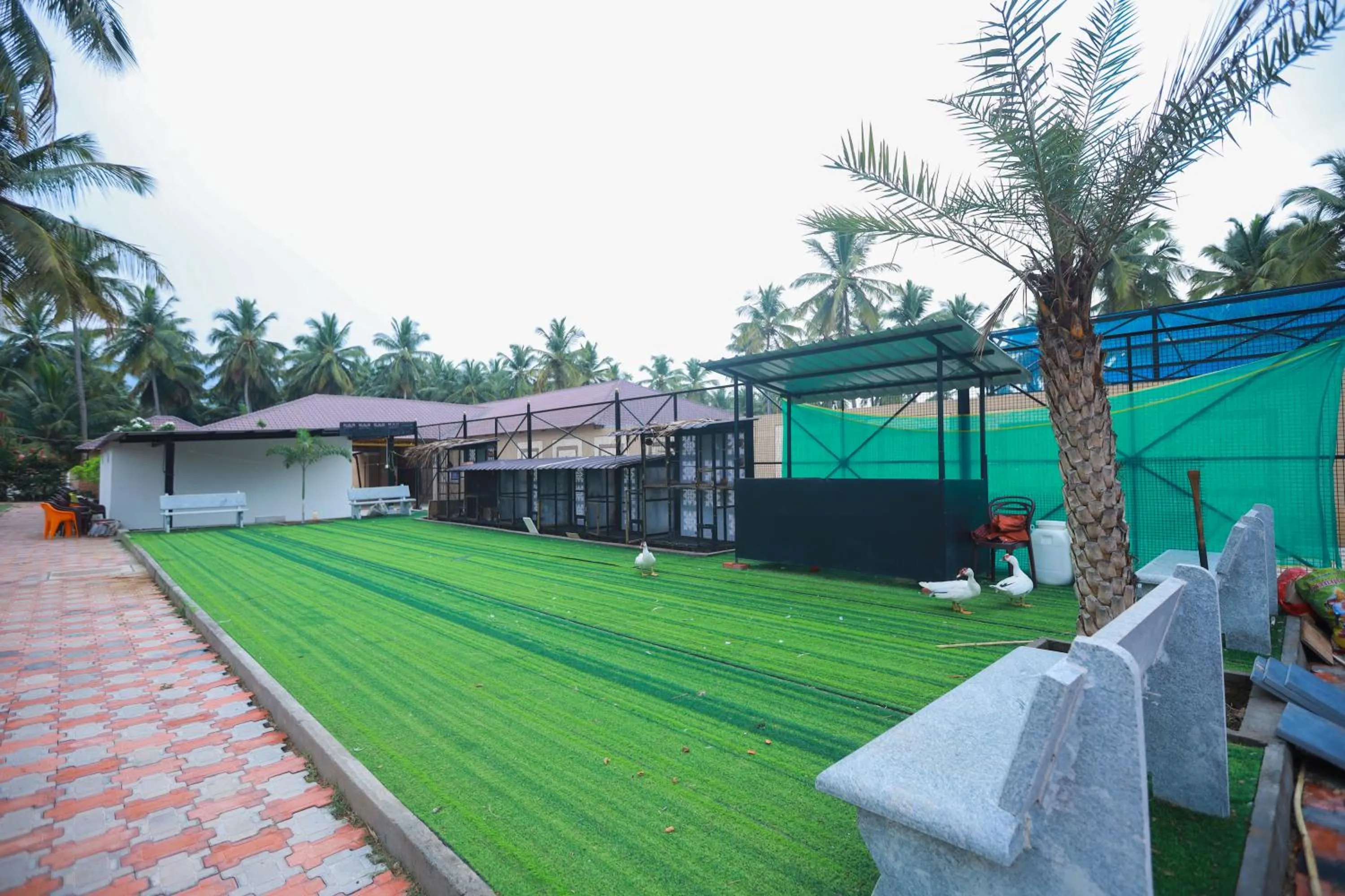 Property building in Royal Destiny Resort