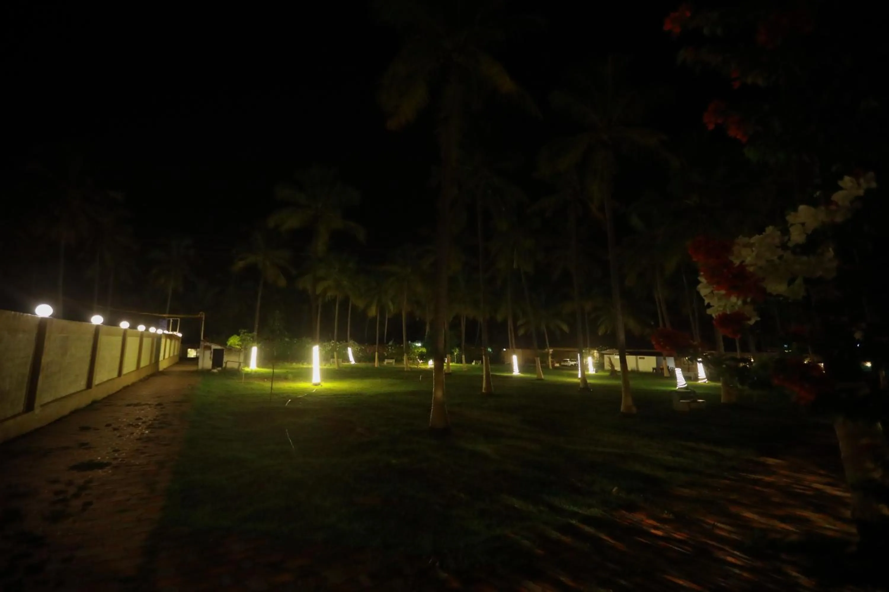 Night in Royal Destiny Resort