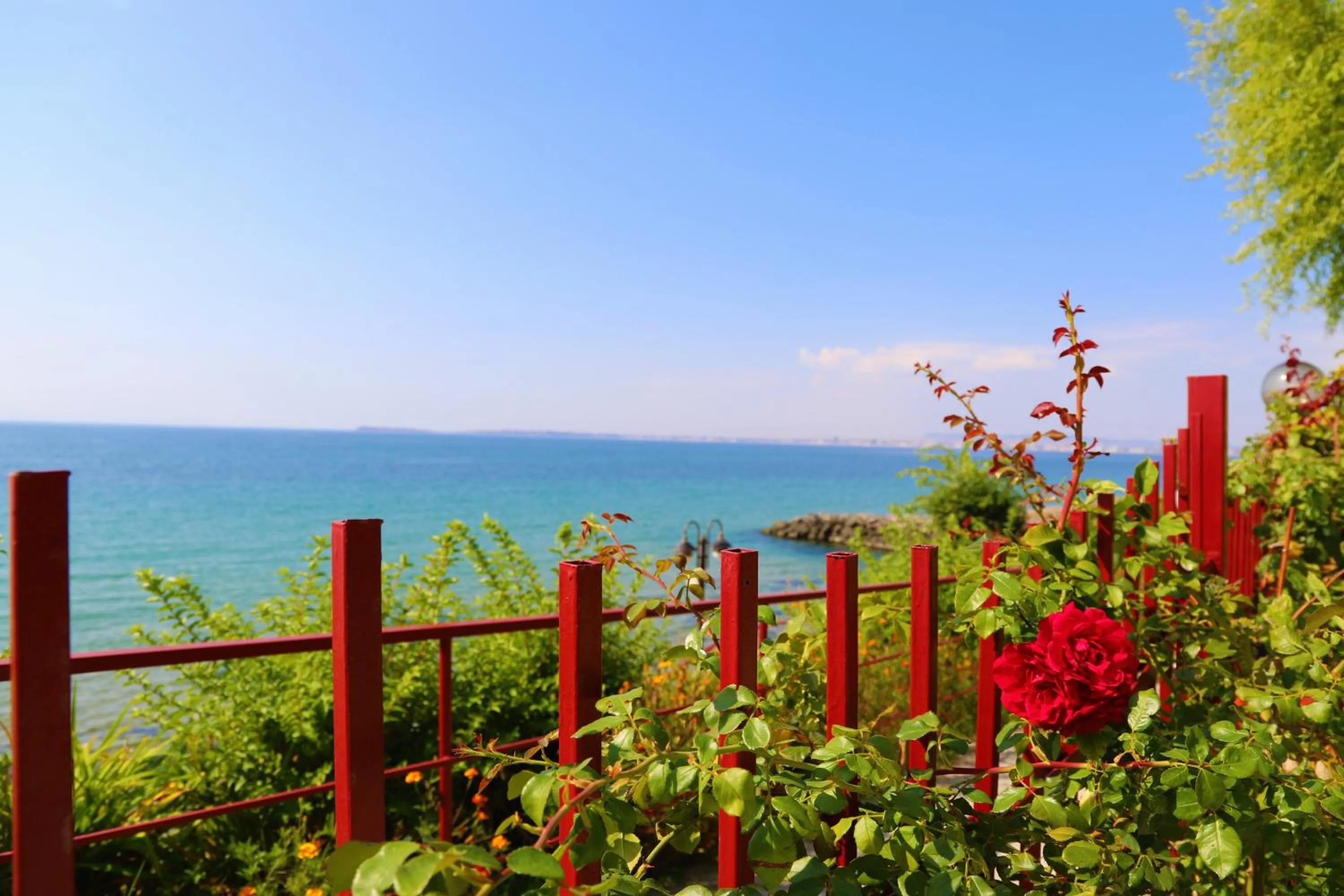 Natural landscape in Fort Noks - Menada Apartments