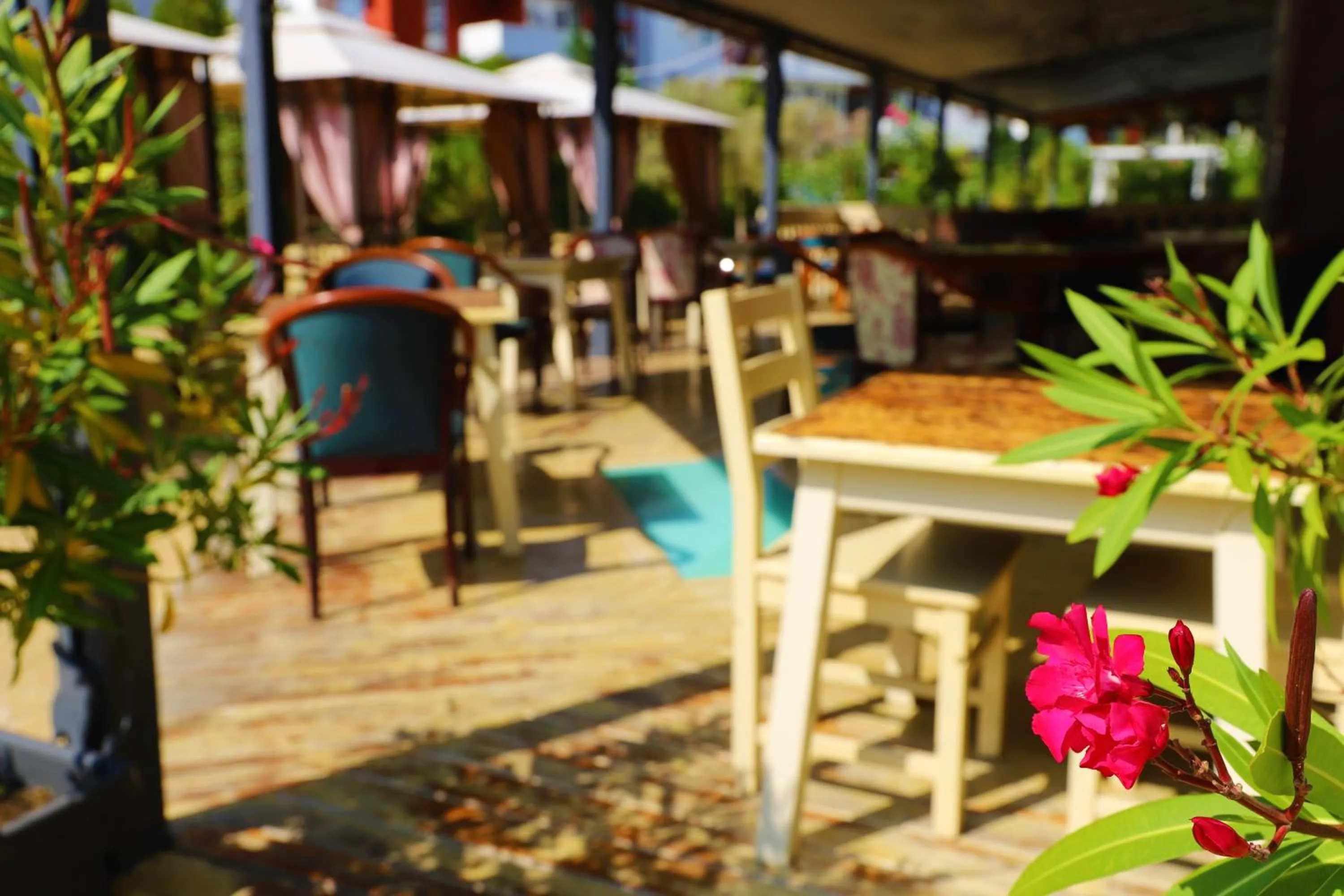 Restaurant/places to eat in Fort Noks - Menada Apartments