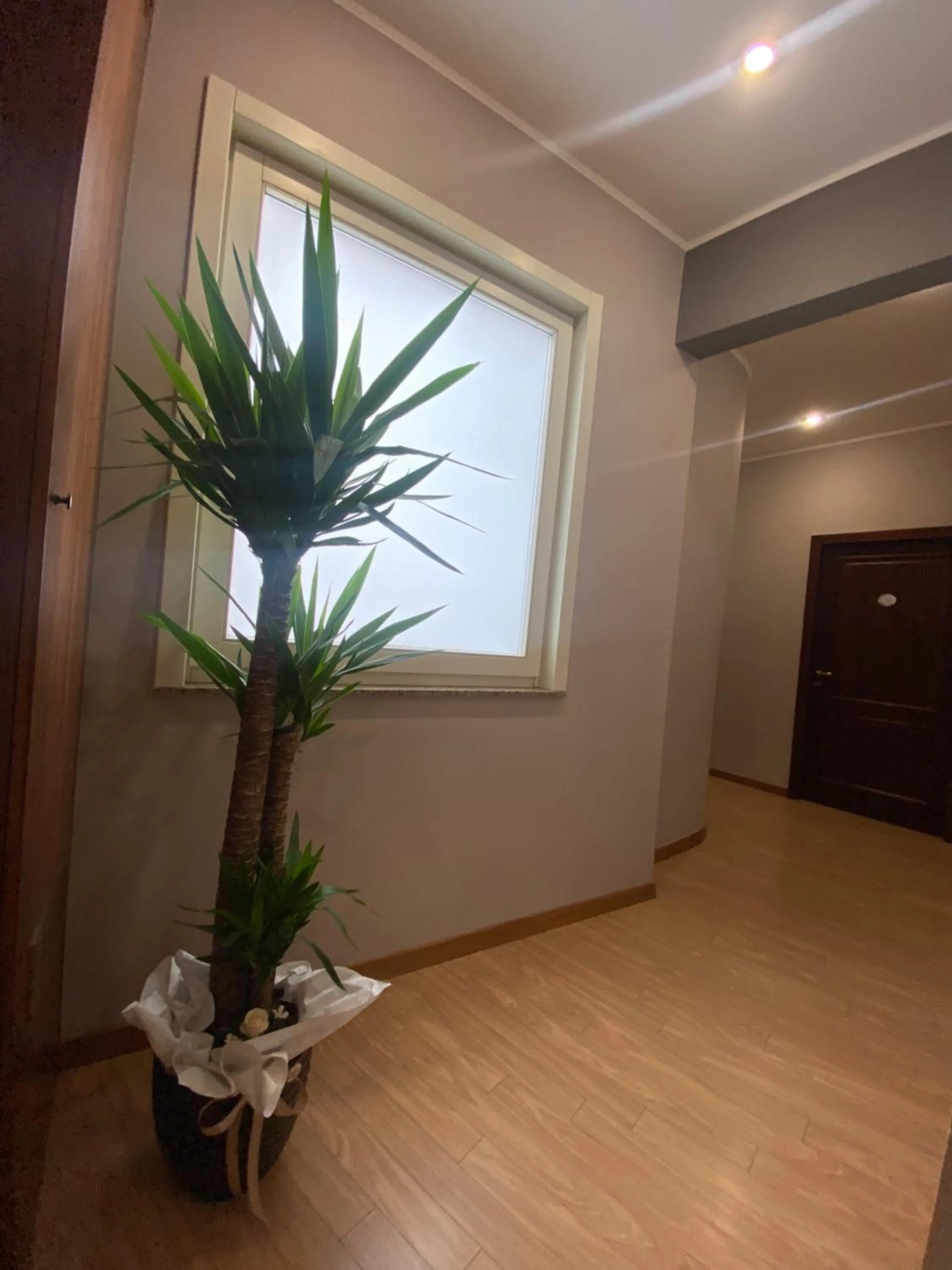 Decorative detail in Hotel Marconi