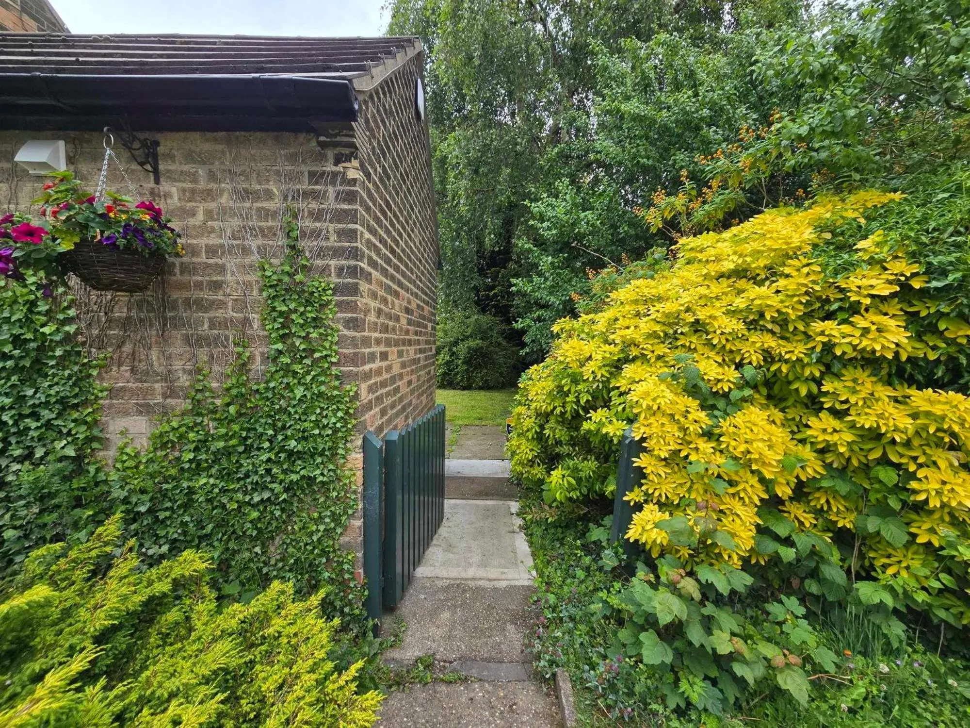 Garden in The Shoulder at Hardstoft