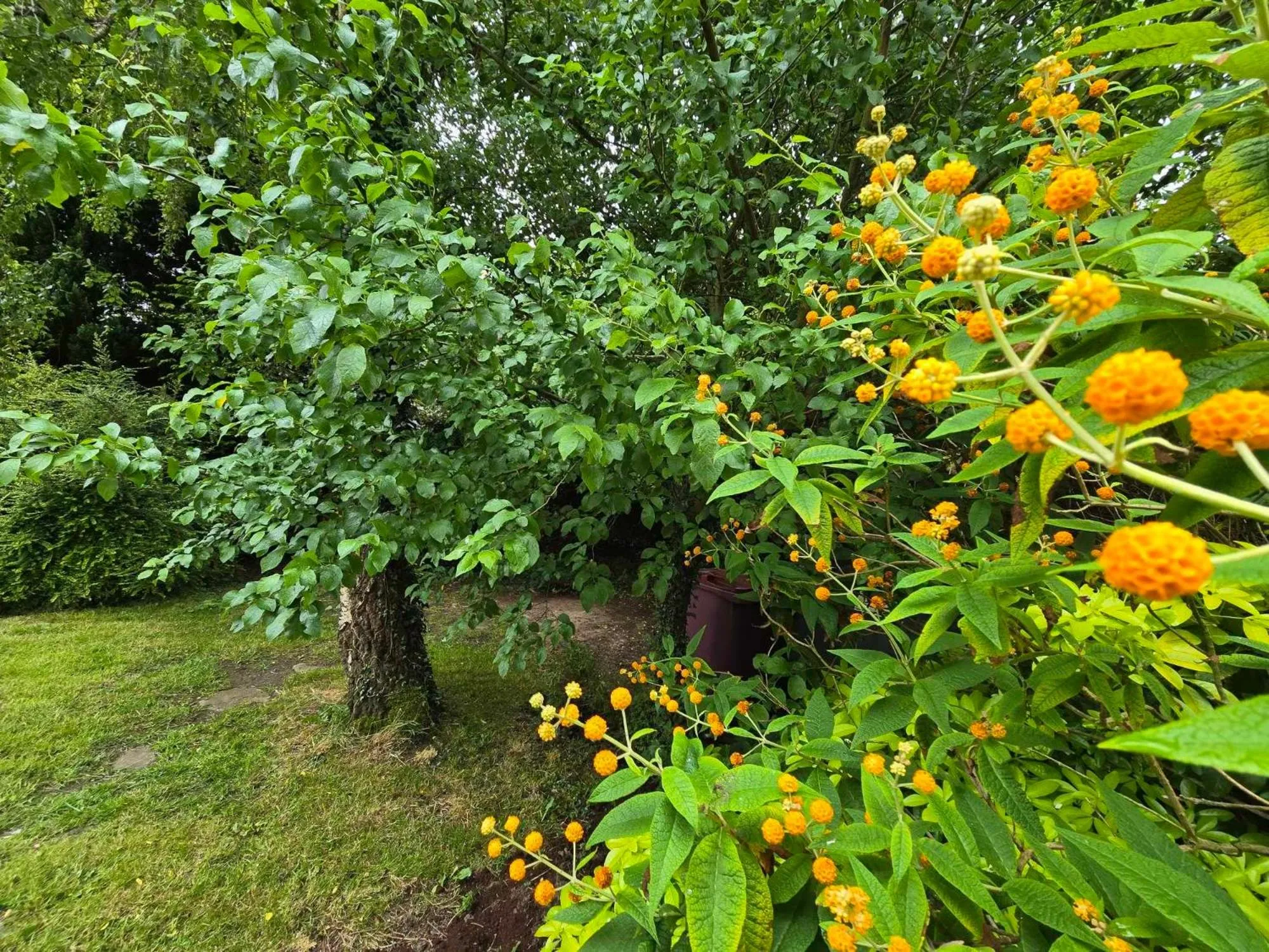 Natural landscape in The Shoulder at Hardstoft