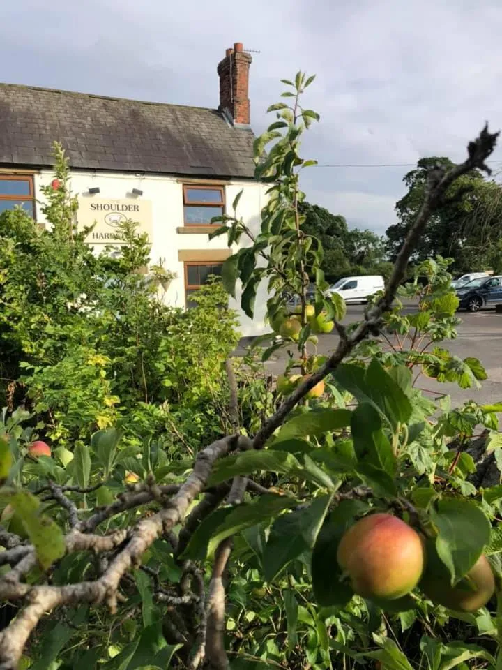 Property building in The Shoulder at Hardstoft