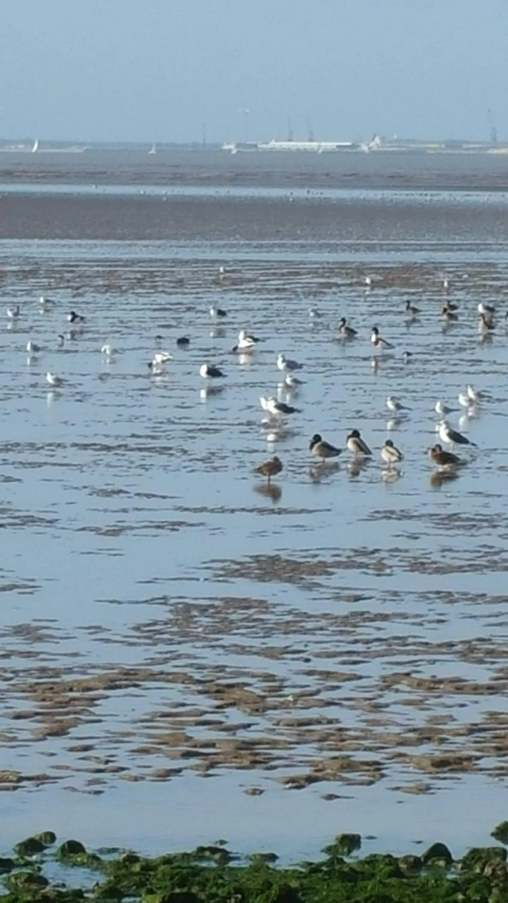 Spring in Hôtel Inn Design - Restaurant L'Escale