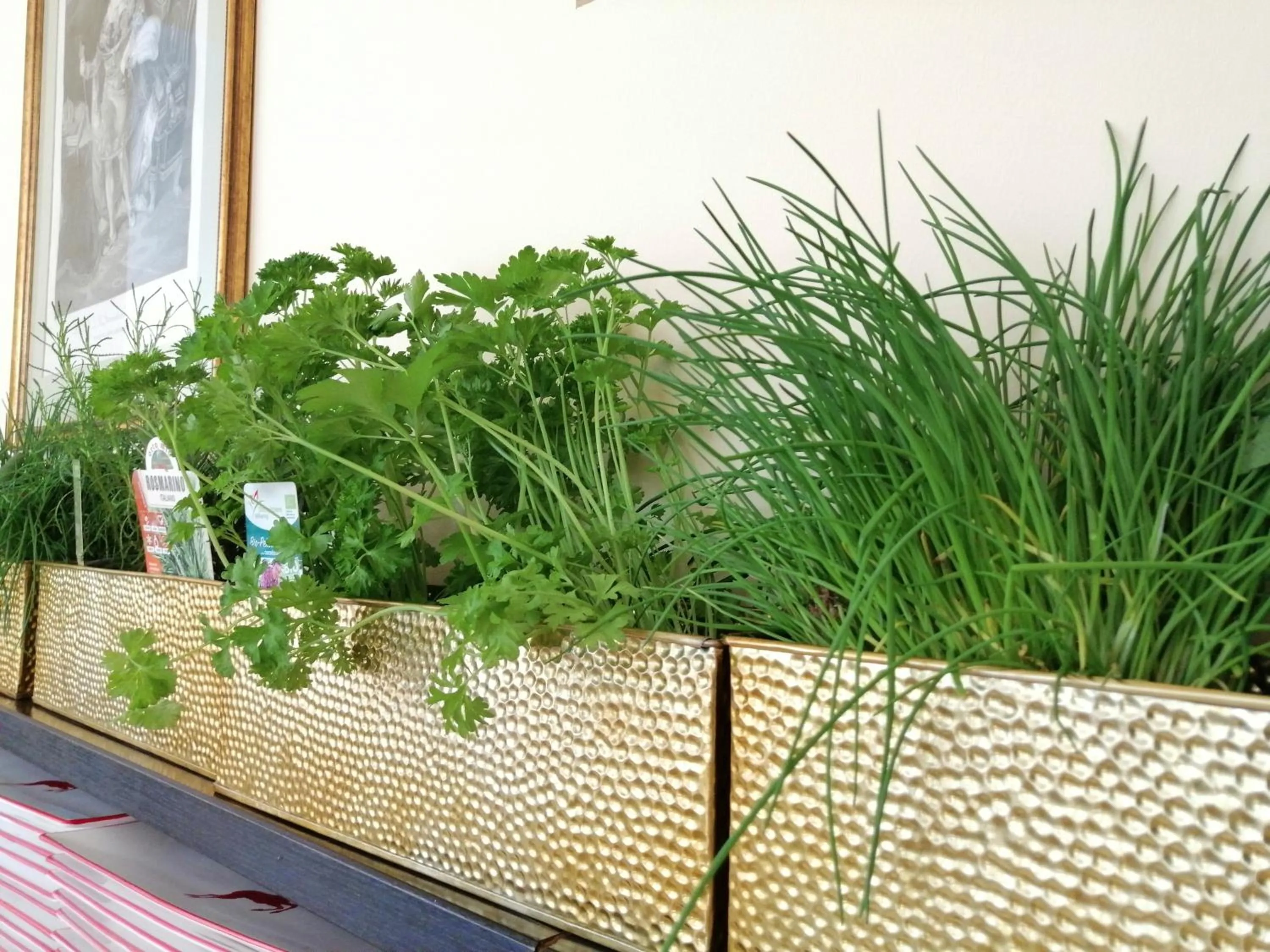 Restaurant/places to eat in Seehotel Grüner Baum