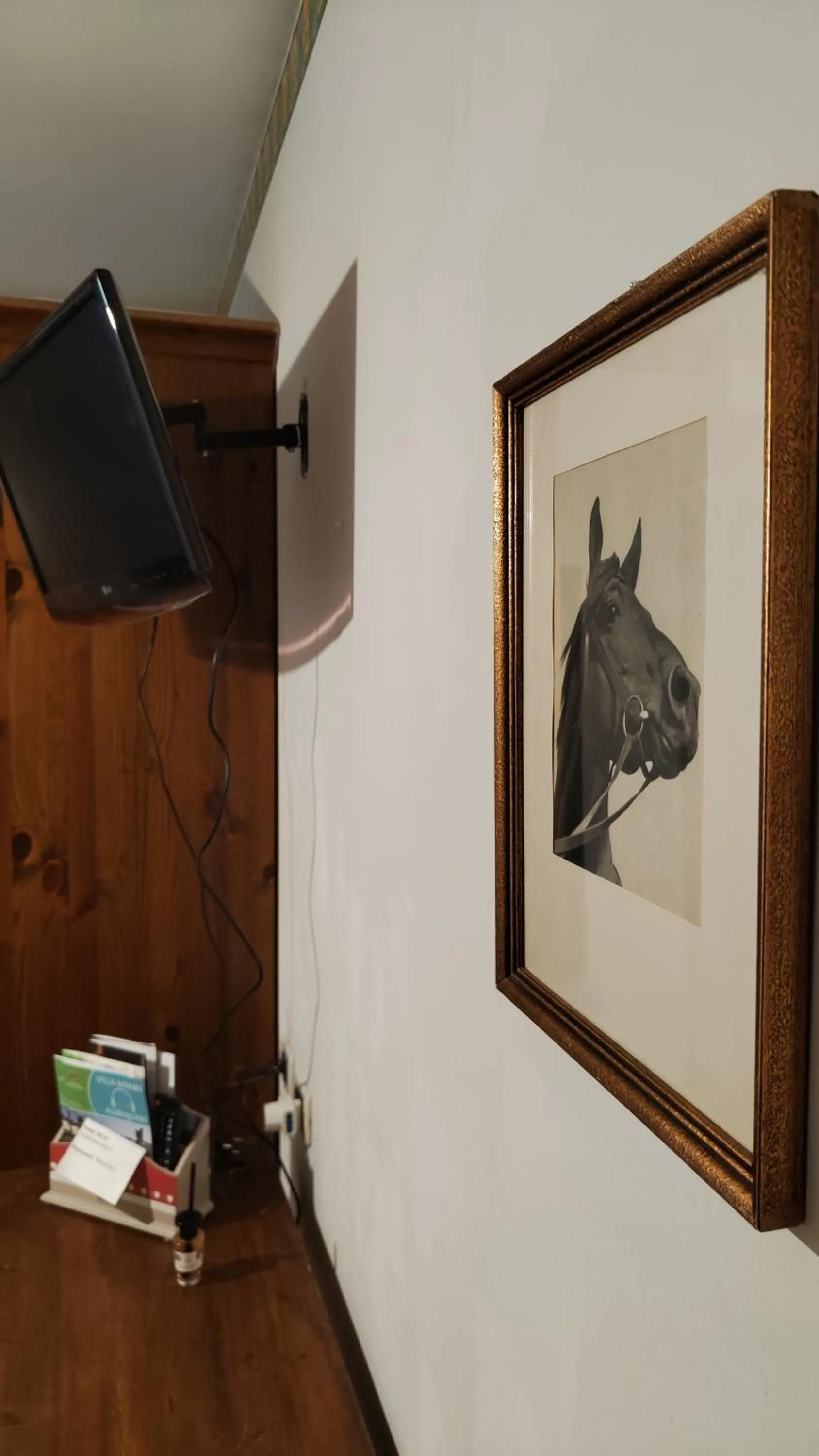 TV and multimedia in Rovere dalla riva