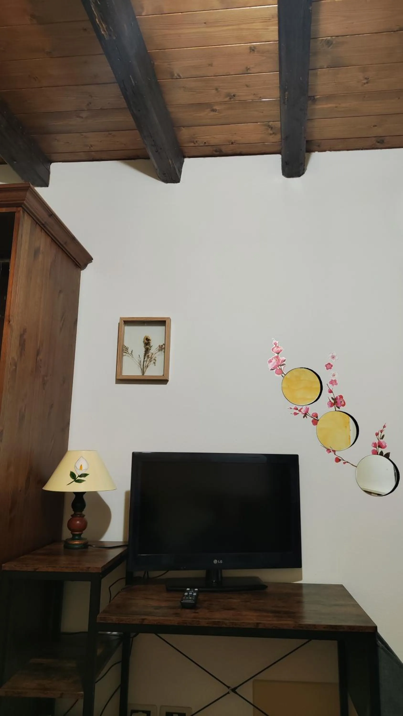 TV and multimedia in Rovere dalla riva