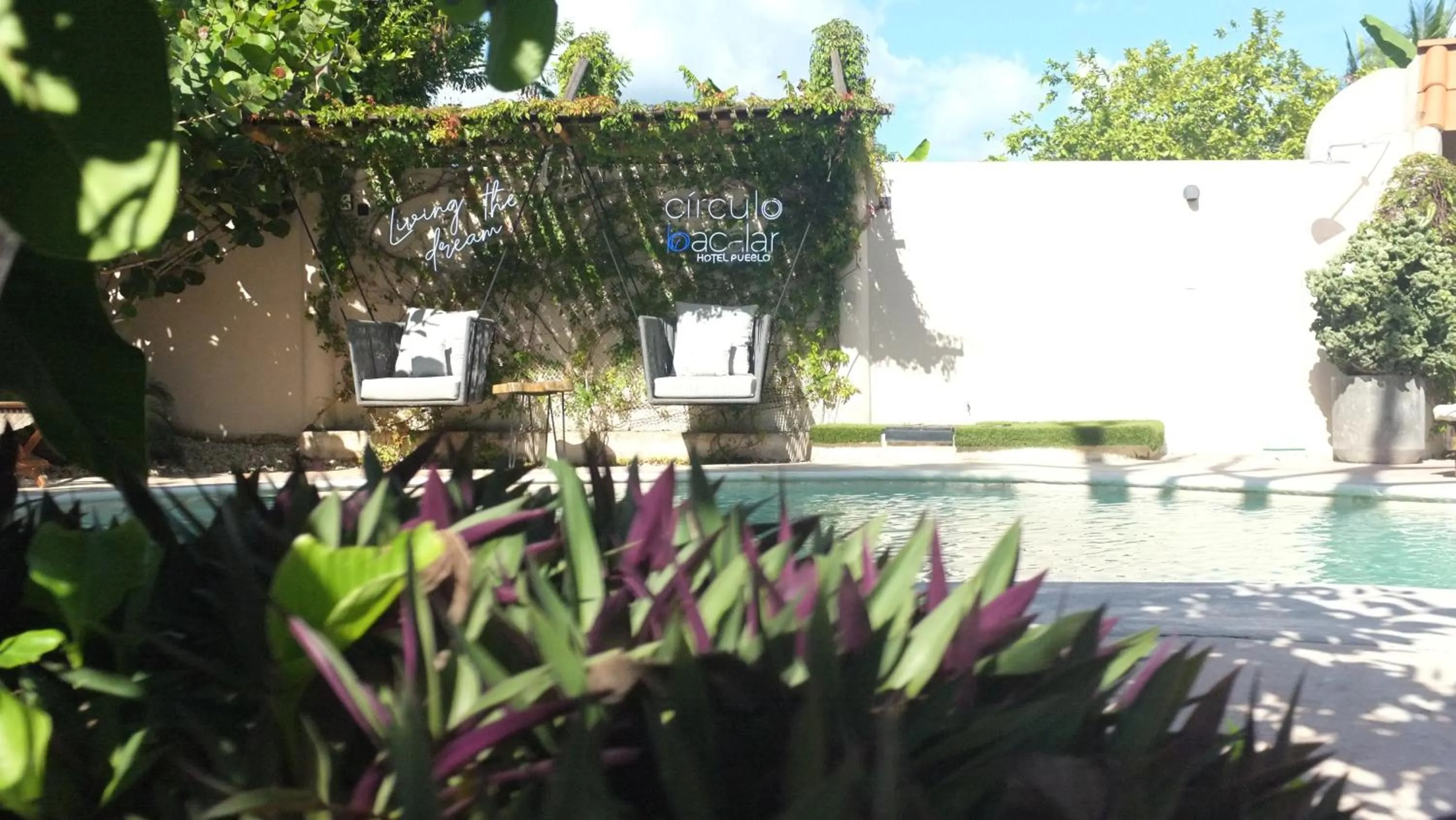 Garden in Hotel Circulo Bacalar