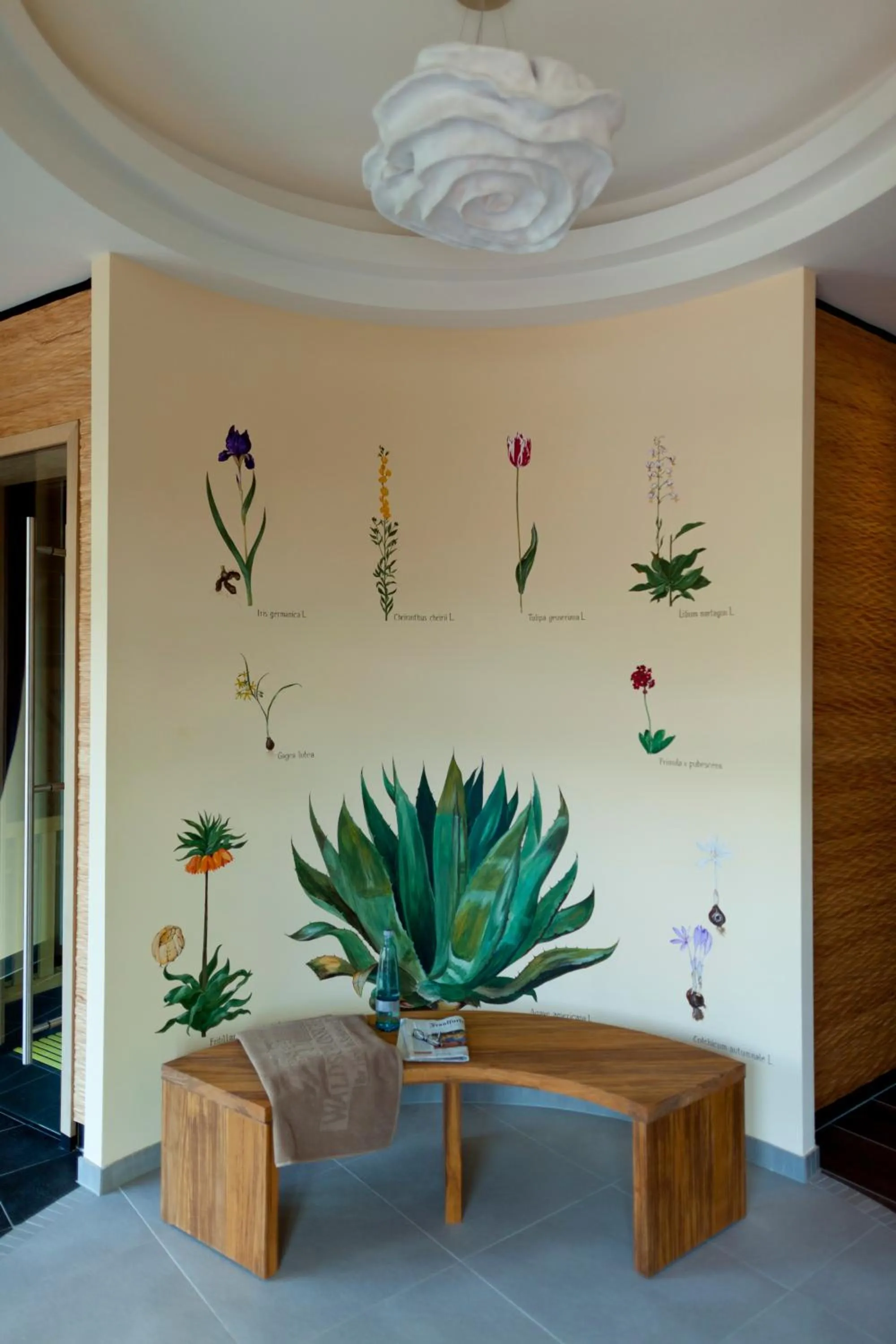 Spa and wellness centre/facilities in Romantik Hotel Waldschlösschen