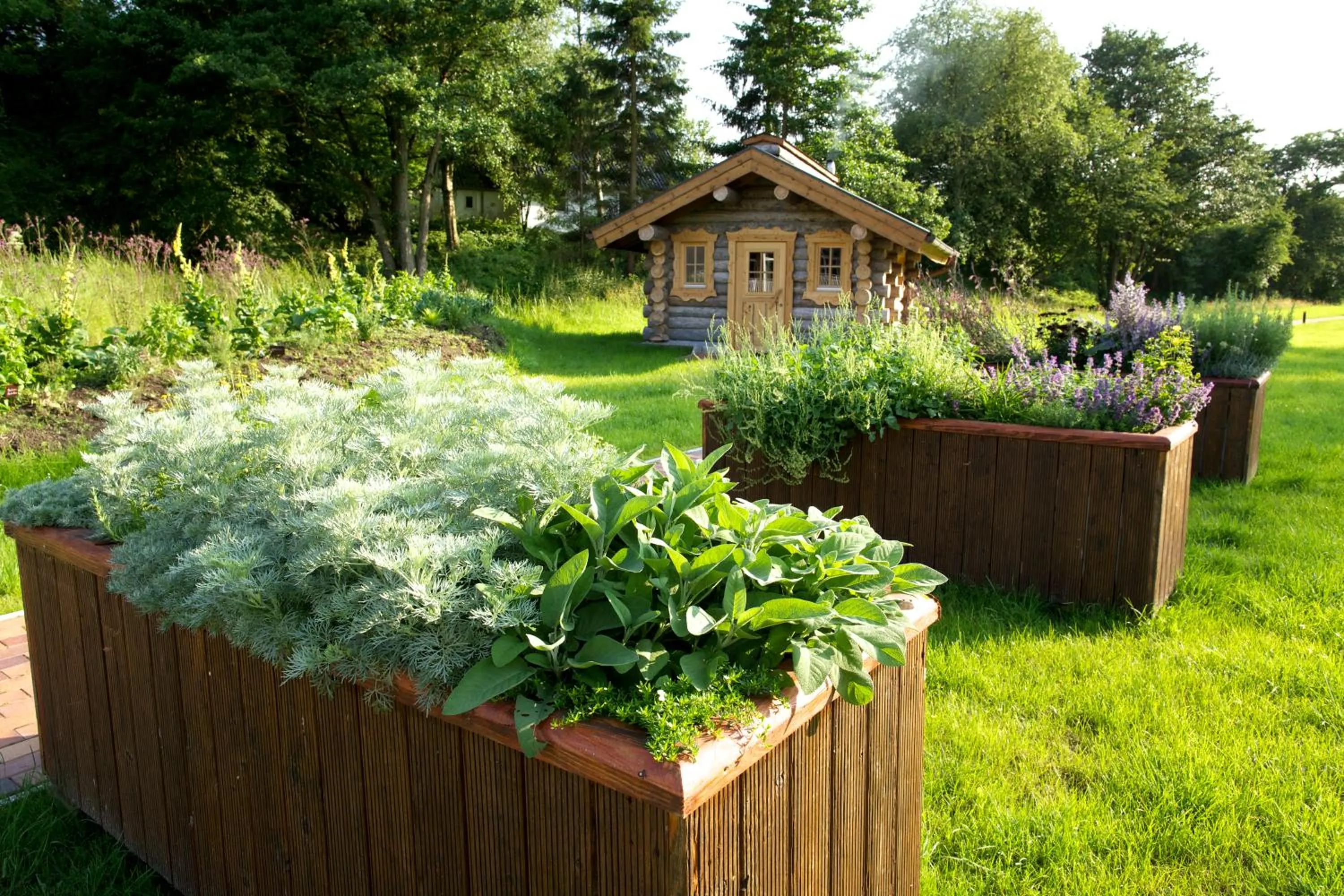 Spa and wellness centre/facilities in Romantik Hotel Waldschlösschen