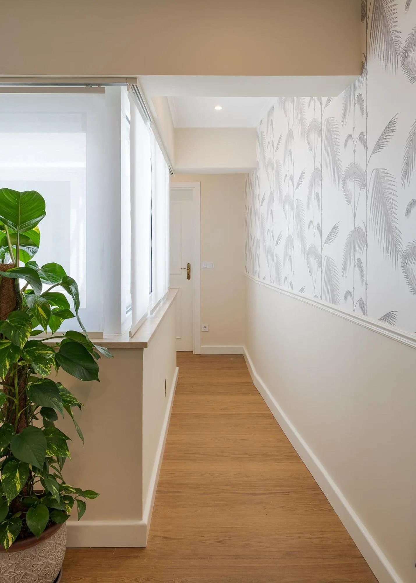 Peixeira Studios and Apartments