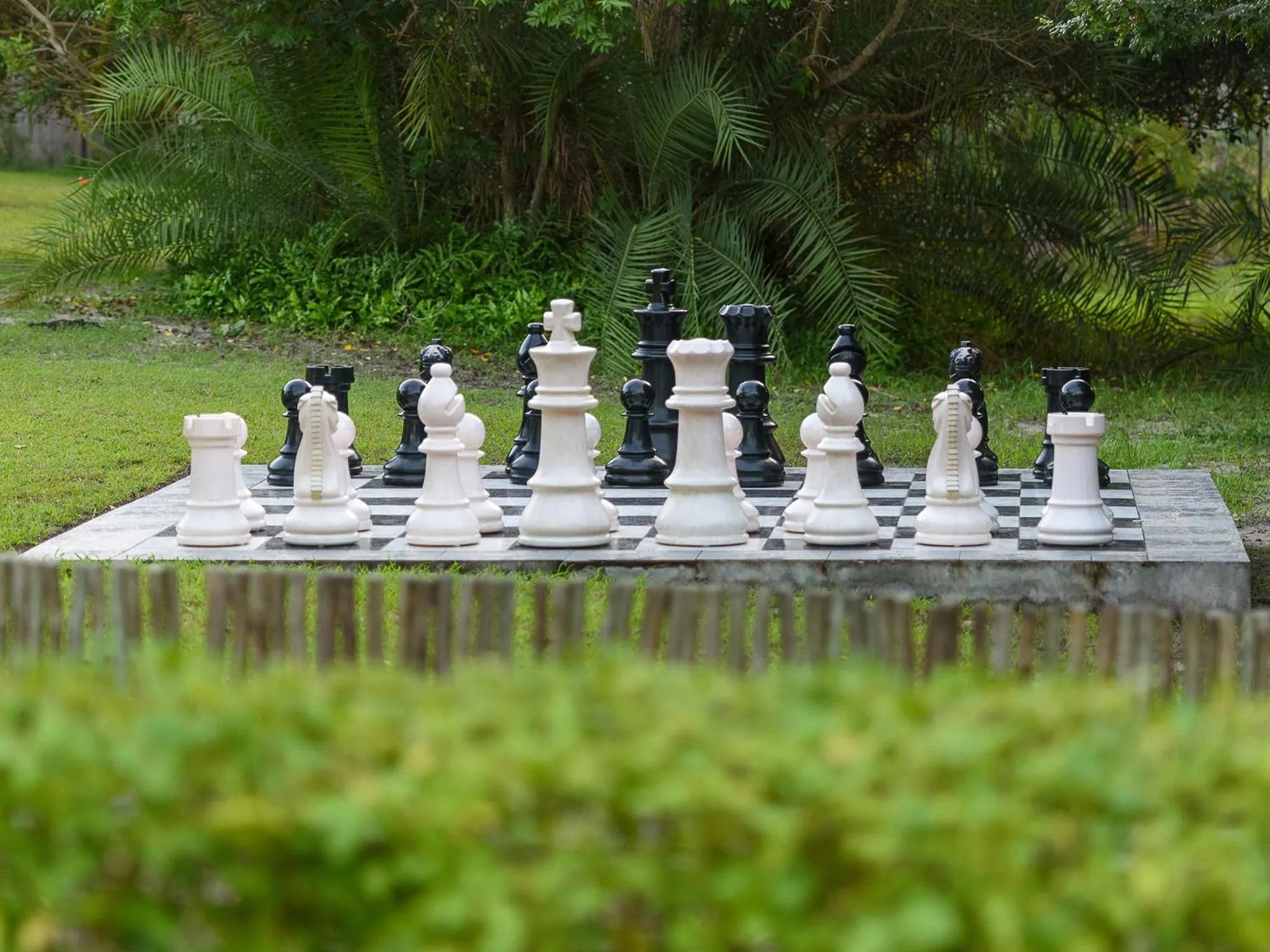 Garden in San Martinho Hotel